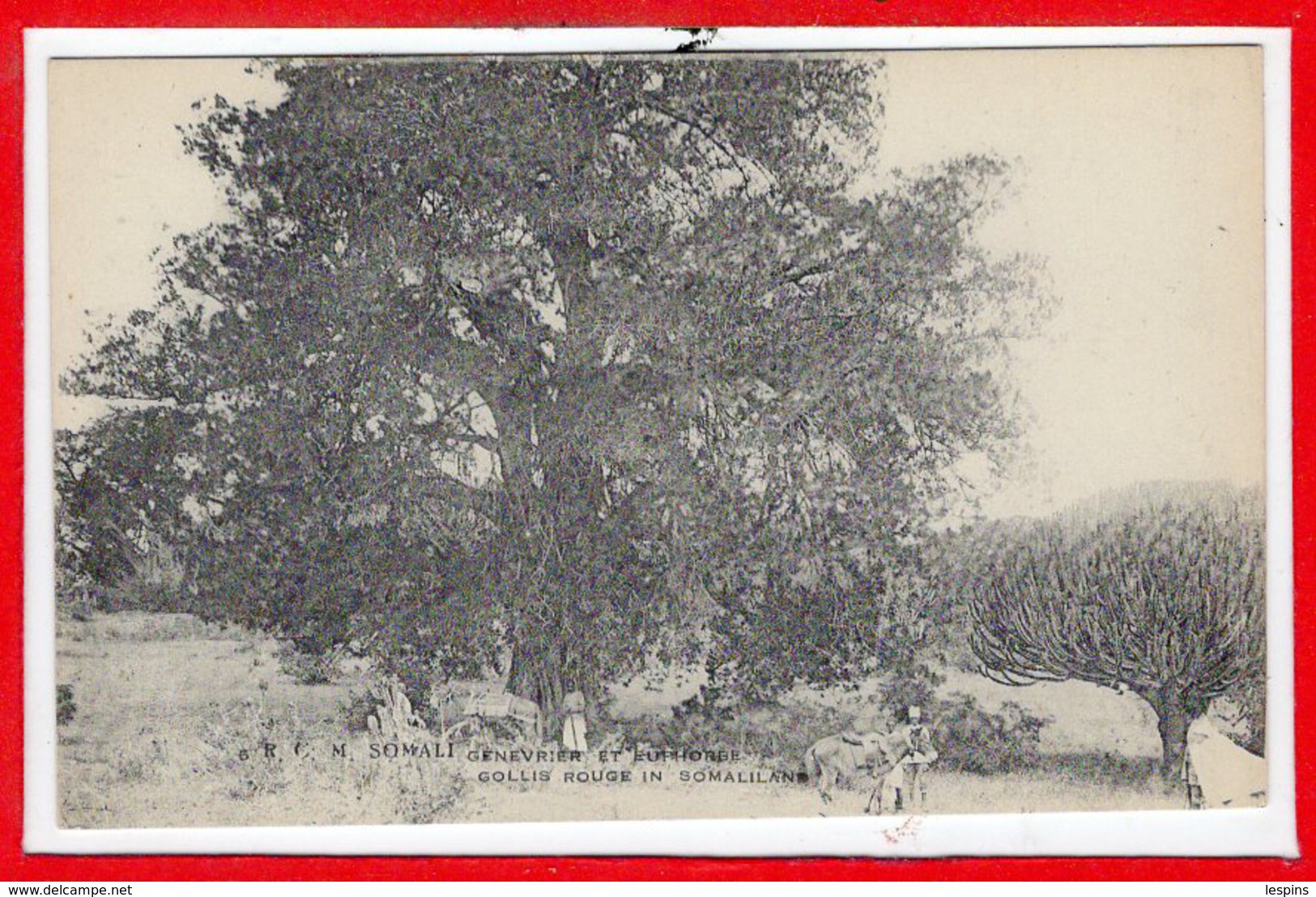 AFRIQUE --  SOMALIE - Genevrier
