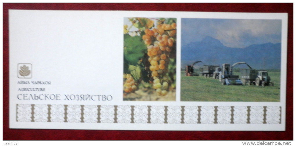 Agriculture - grape - tractor - 1984 - Kyrgyzstan USSR - unused
