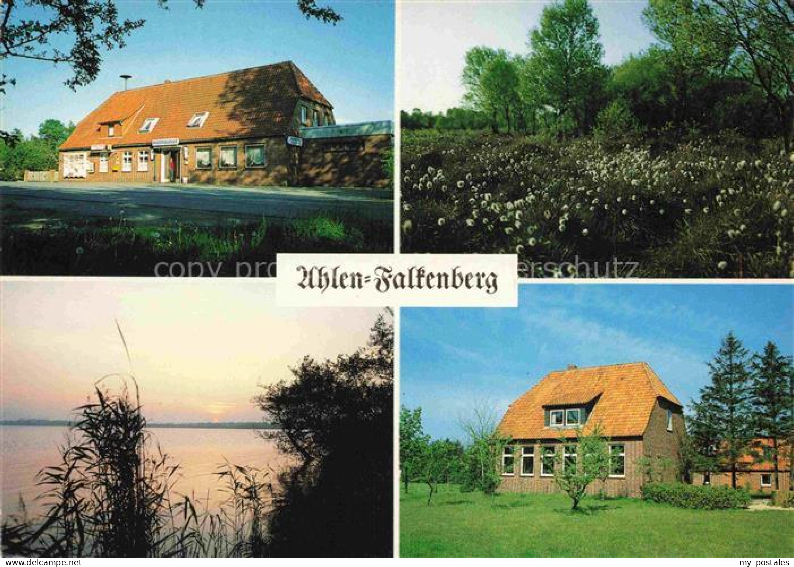 Ahlen-Falkenberg Moorquelle Gasthaus See Schilf Wohnhaus Wiesenblumen Abendstimm