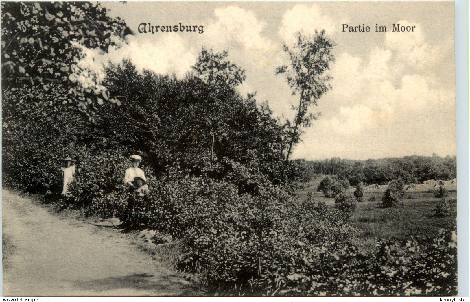 Ahrensburg - Partie im Moor