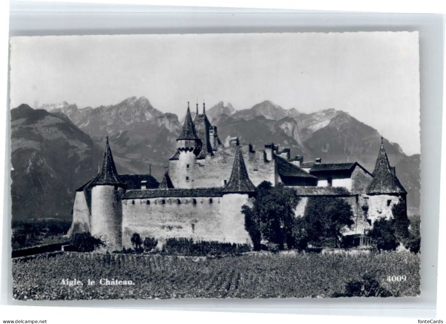 Aigle VD Aigle