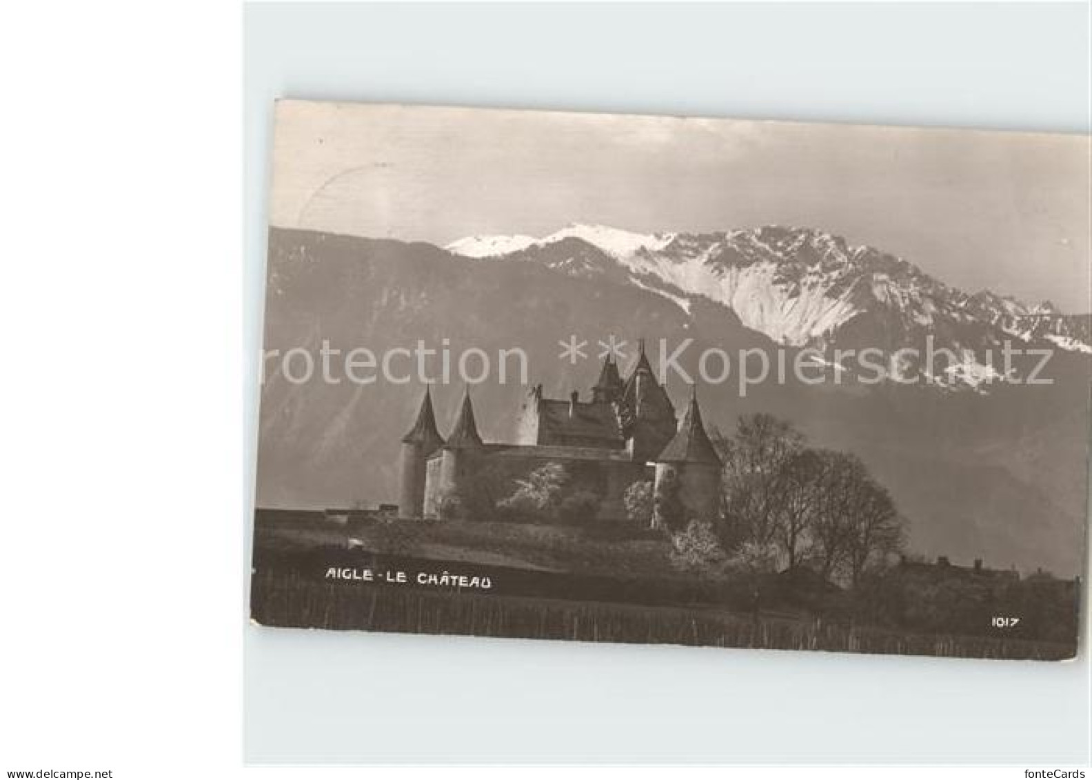 Aigle VD Chateau Aigle Berge