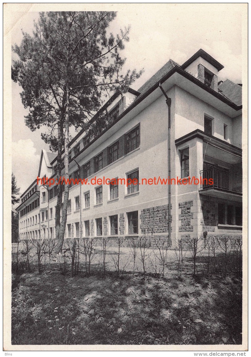 Air et Soleil - Institut de Sainte Ode - Fondation Louis Empain - Amberloup