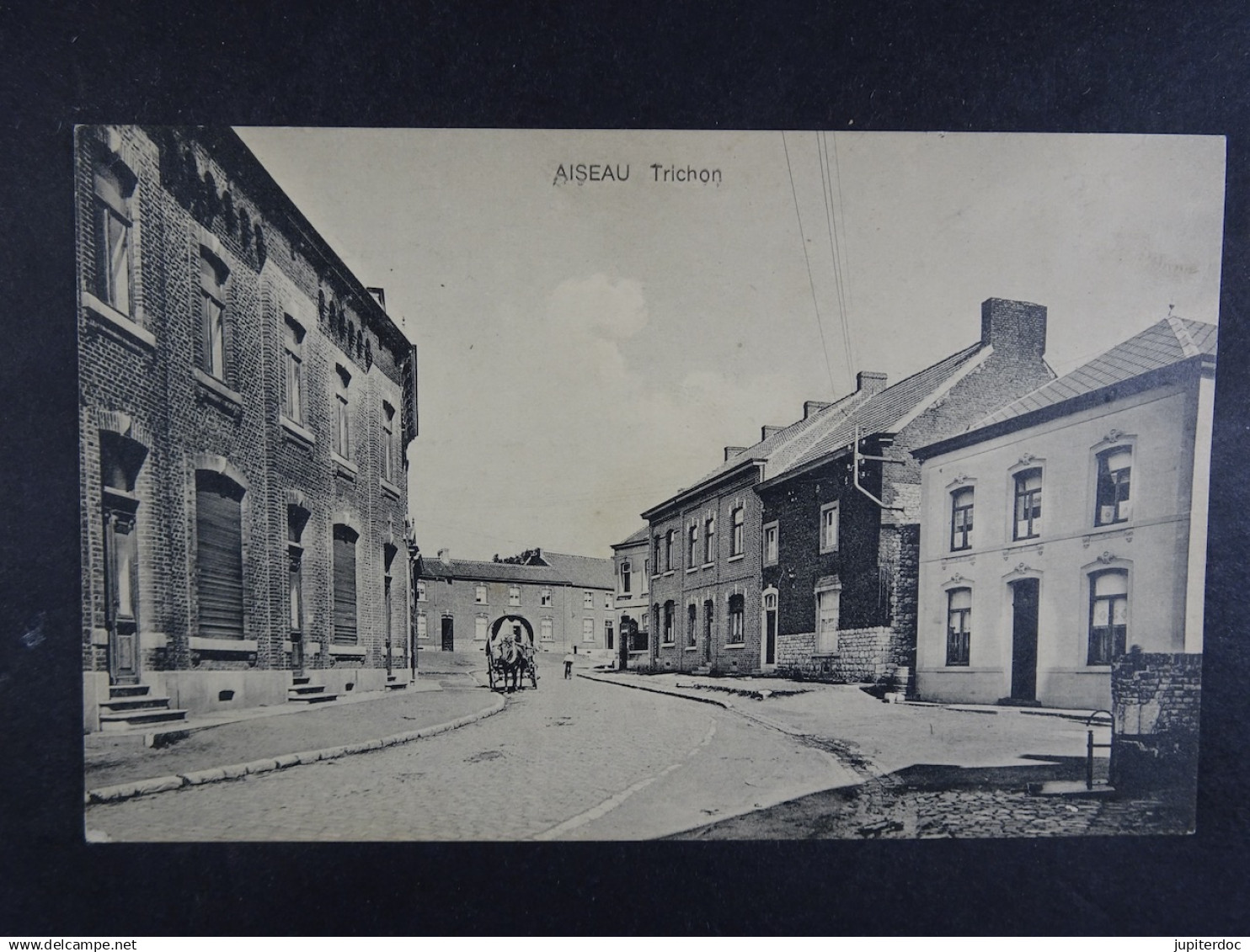Aiseau Trichon