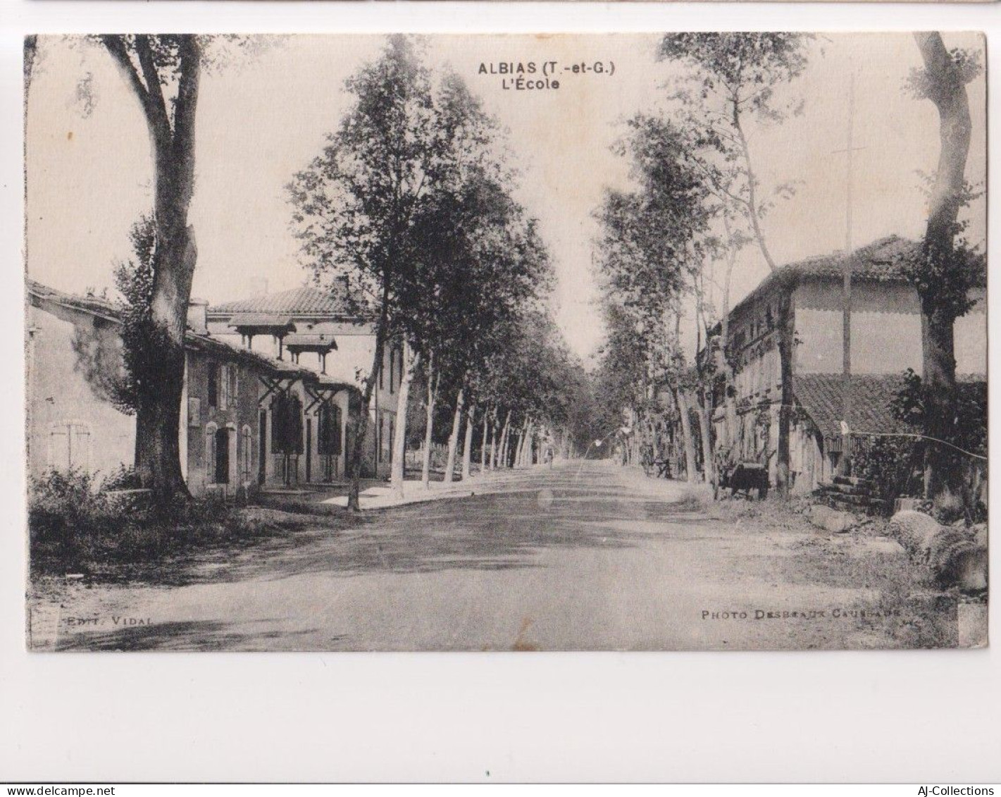 AJC - Albias - l'ecole