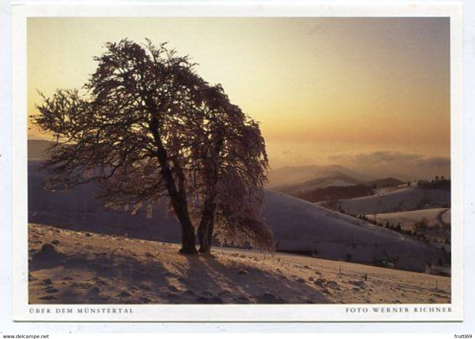 AK 066902 GERMANY - Über dem Münstertal