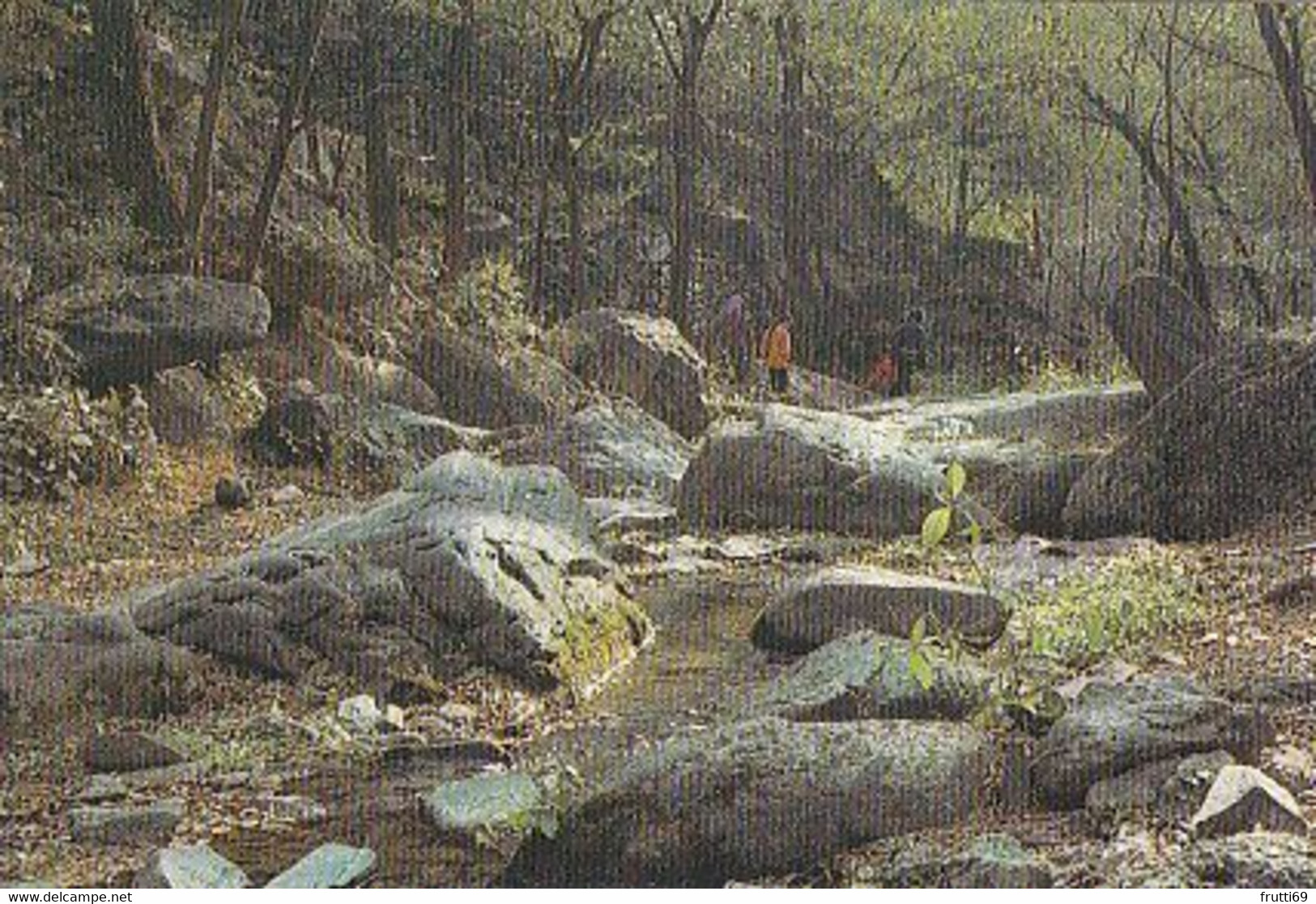 AK 069234 CHINA - Rivalet in Cherry Vale - Fragrance Hill Park