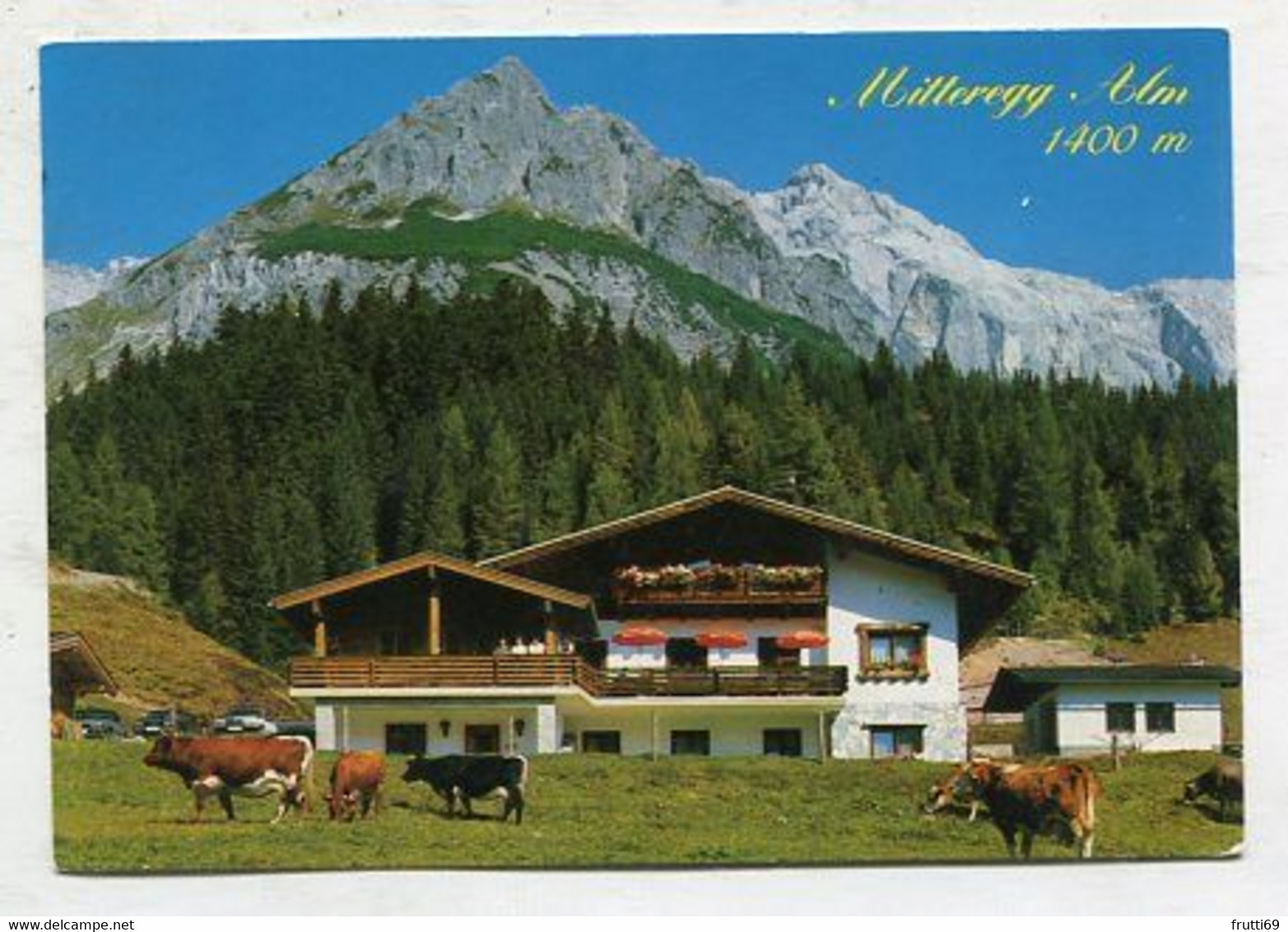 AK 086323 AUSTRIA - Mühlbach am Hochkönig - Mitteregg-Alm