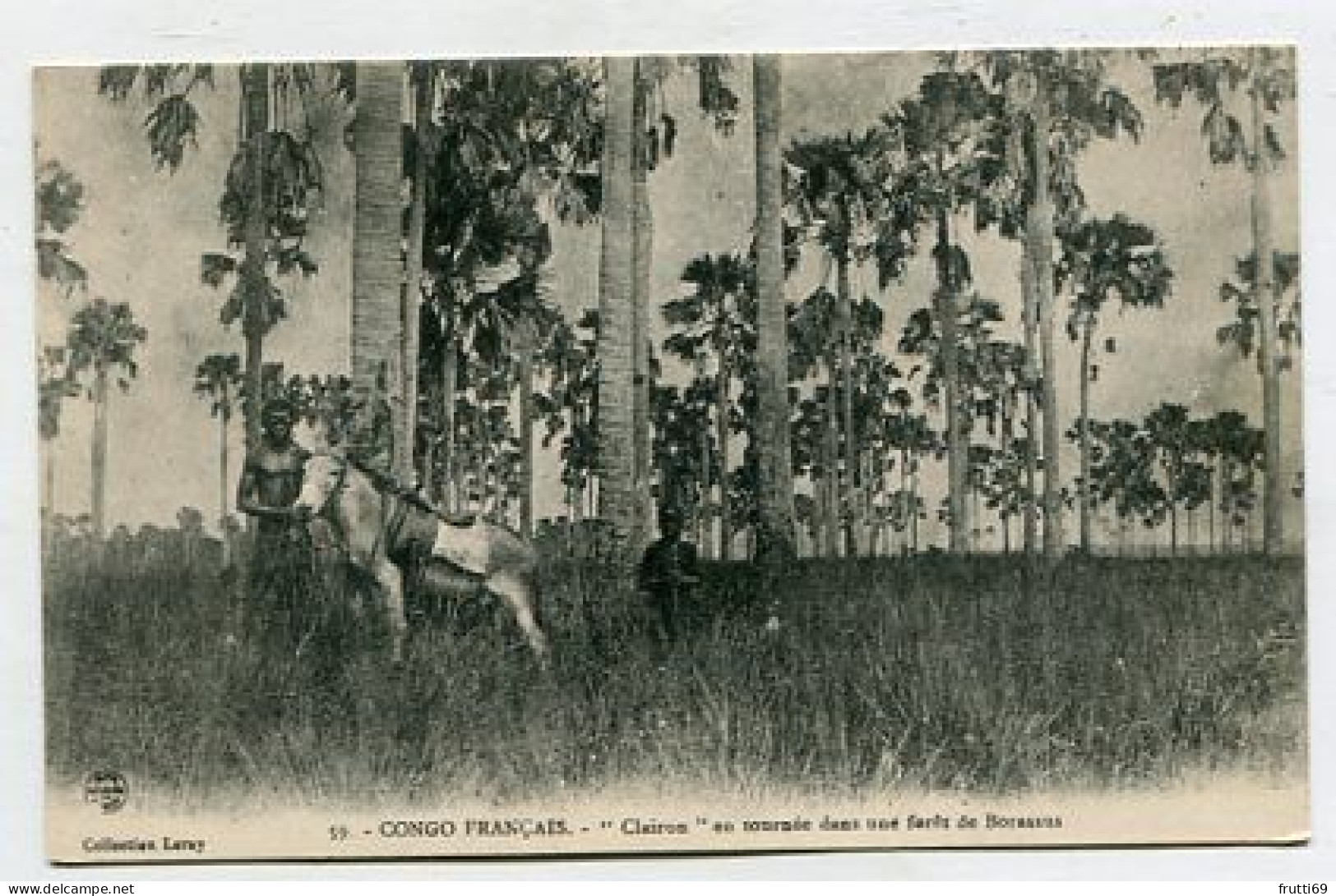 AK 157011 CONGO - Congo-Francais - Clairon en tournée dans une foret de Borassus