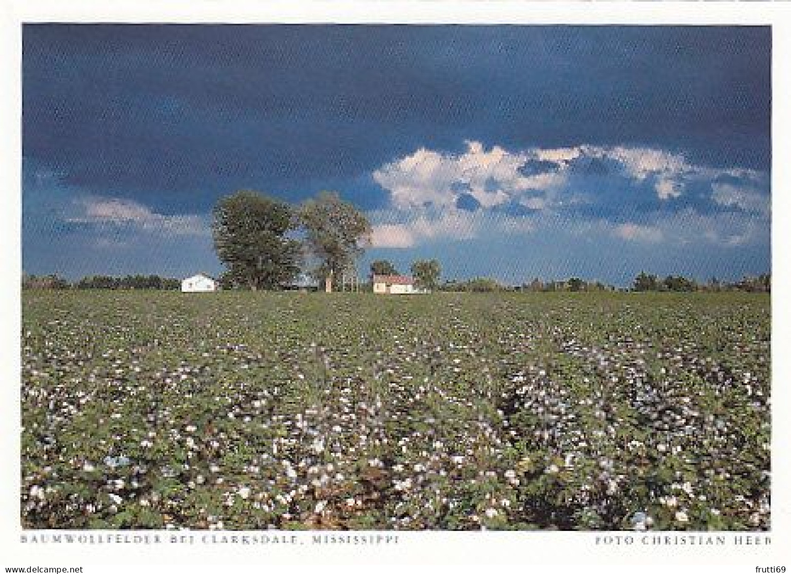 AK 186085 USA - Mississippi - Baumwollfelder bei Clarksdale