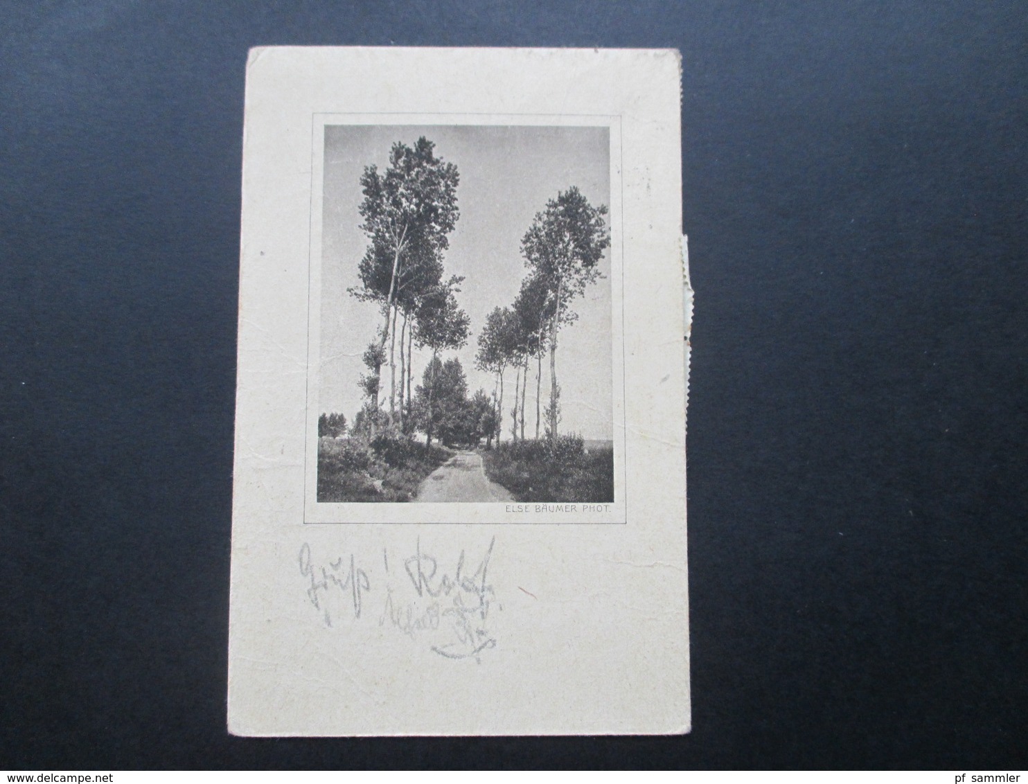 AK 1922 Rossleben. Else Bäumer Phot. Allee. Infla MiF mit Bahnpoststempel. Naumburg (Saale) - Artern Zug 662