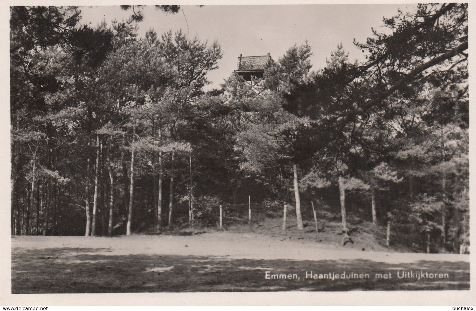 AK 1953 EMMEN, Haantjeduinen met Uitkijktoren - gelaufen