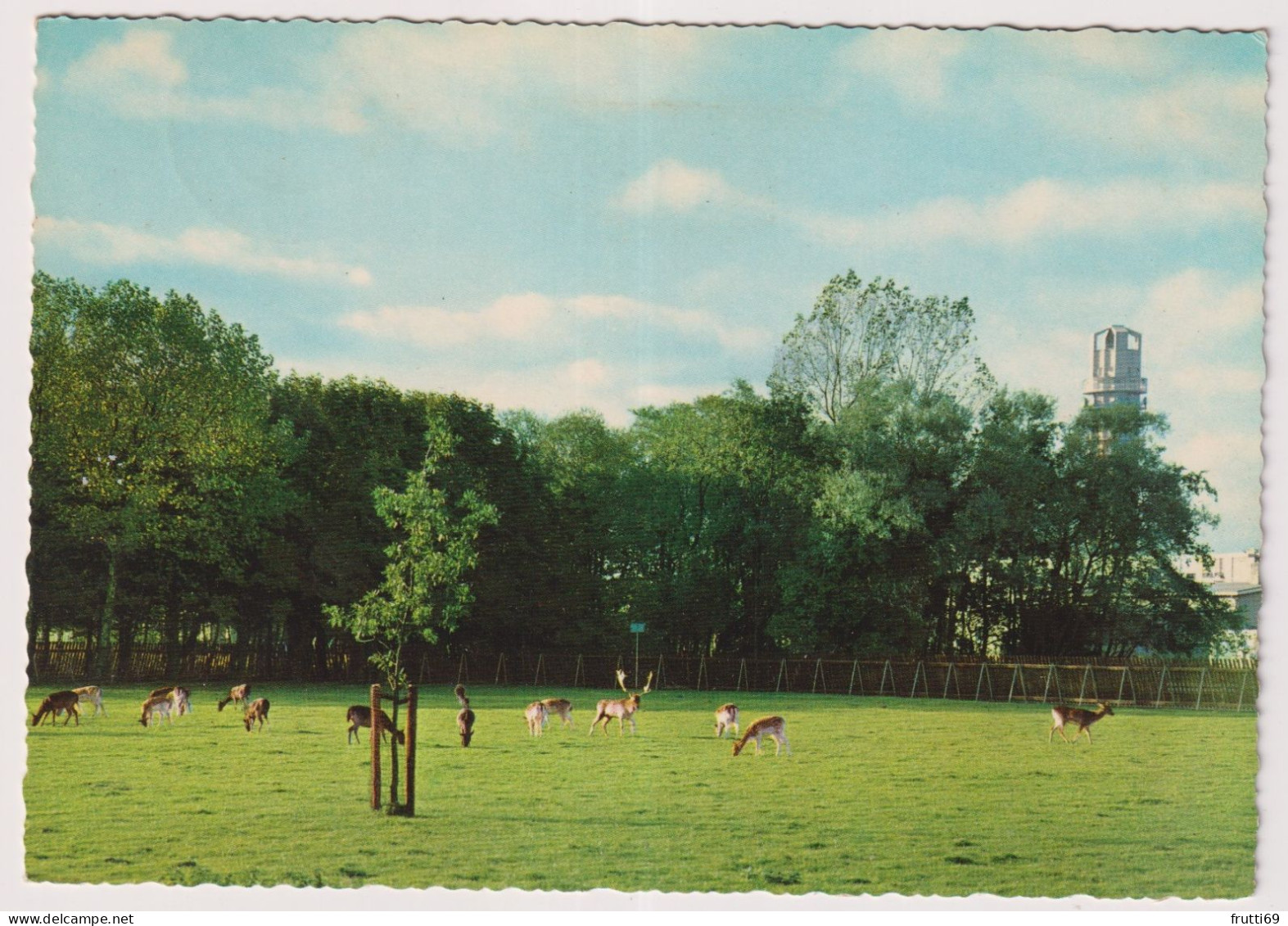 AK 204634 NETHERLANDS - Alphen aan de Rijn - Hertenkamp bij Bospark