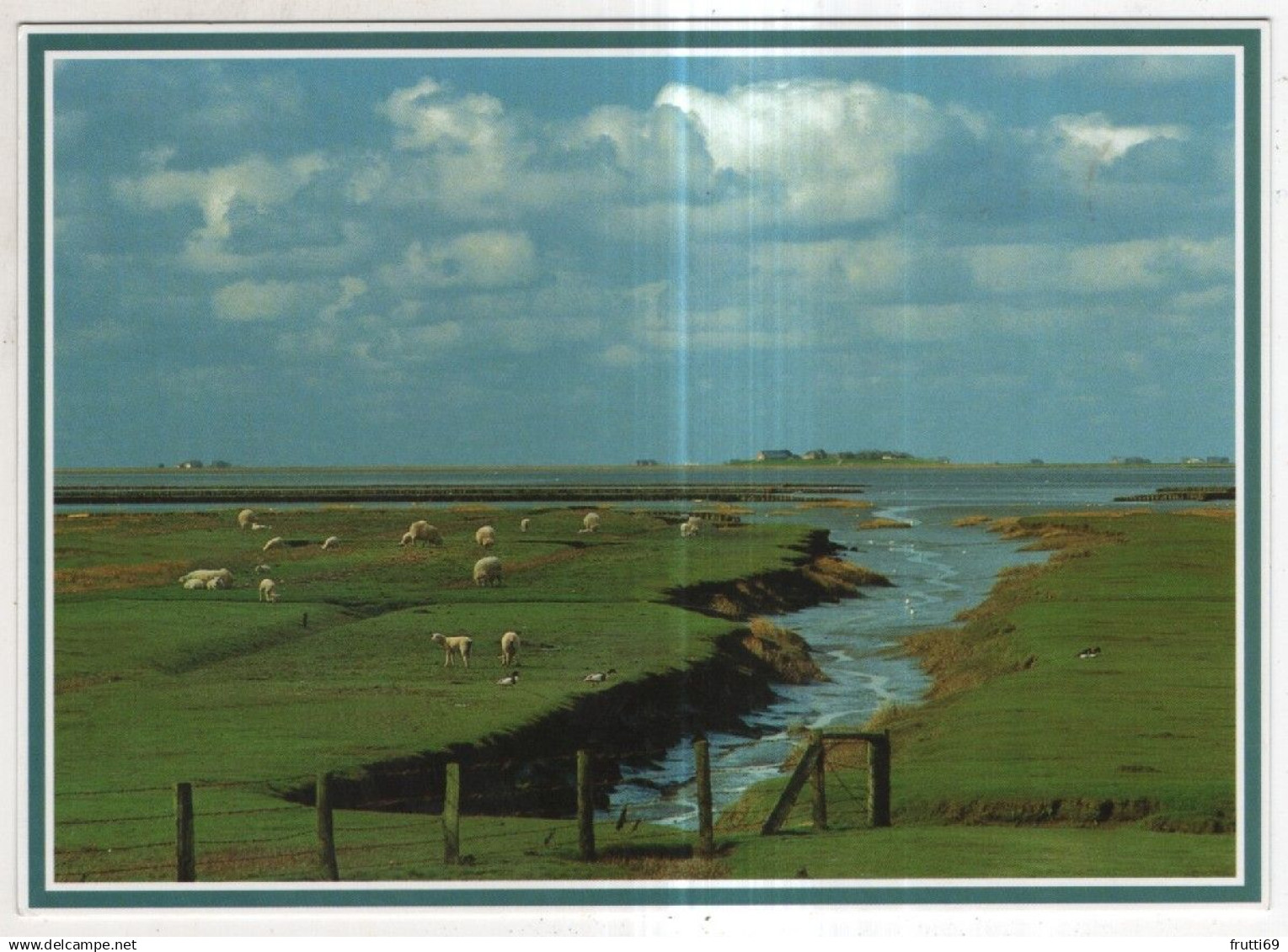 AK 243595 GERMANY - Halligen (?)