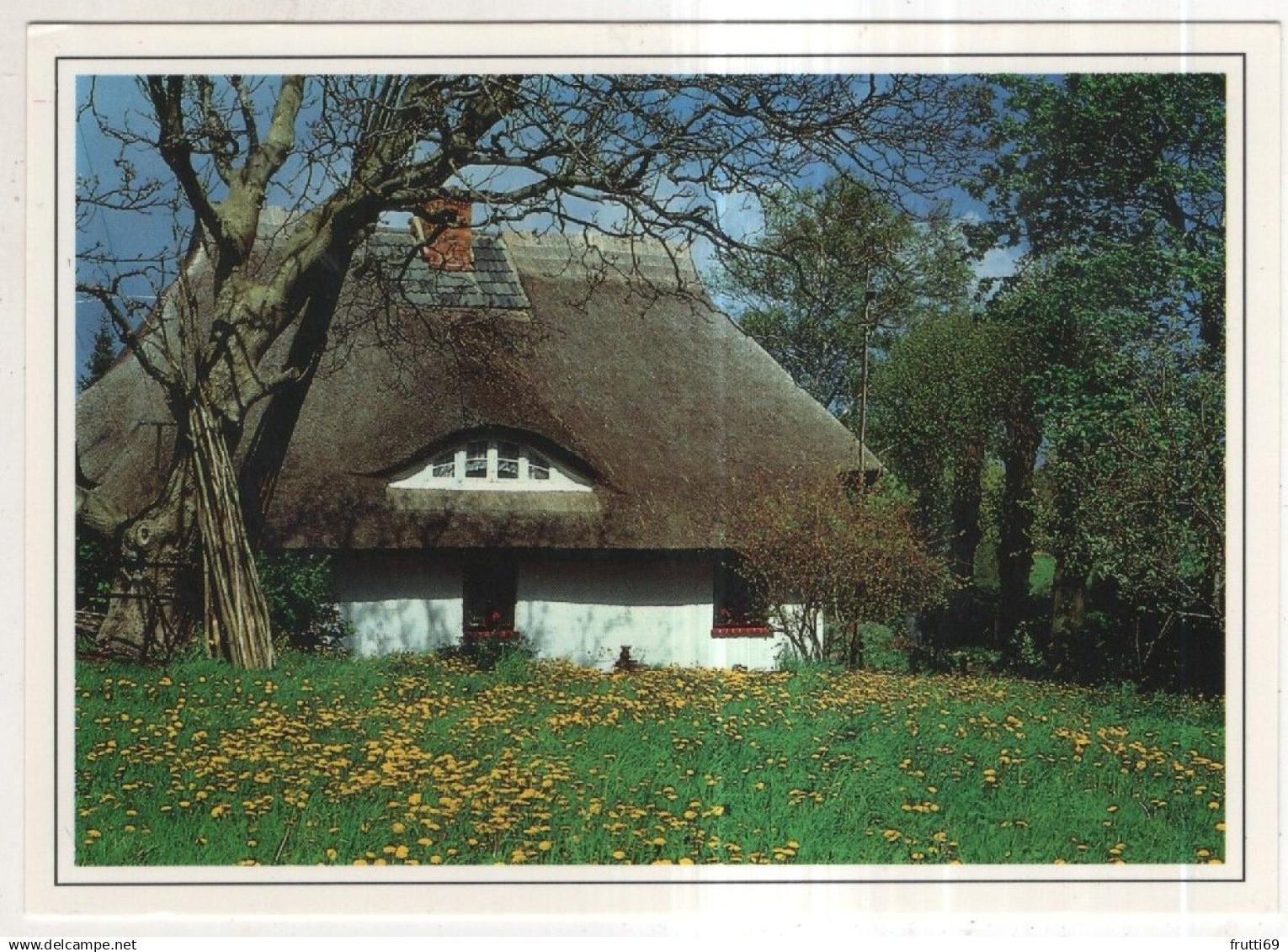 AK 244568 GERMANY - Fischland - Darß - Zingst