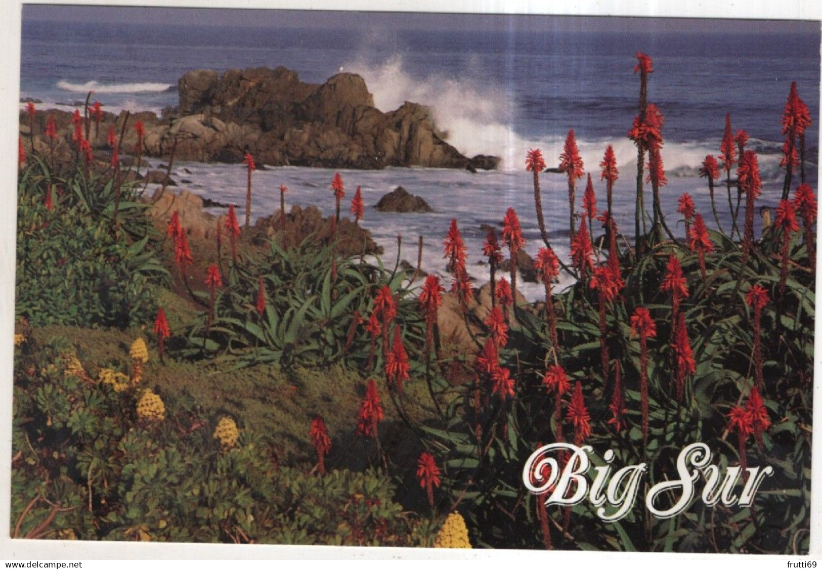 AK 247467 USA - Big Sur