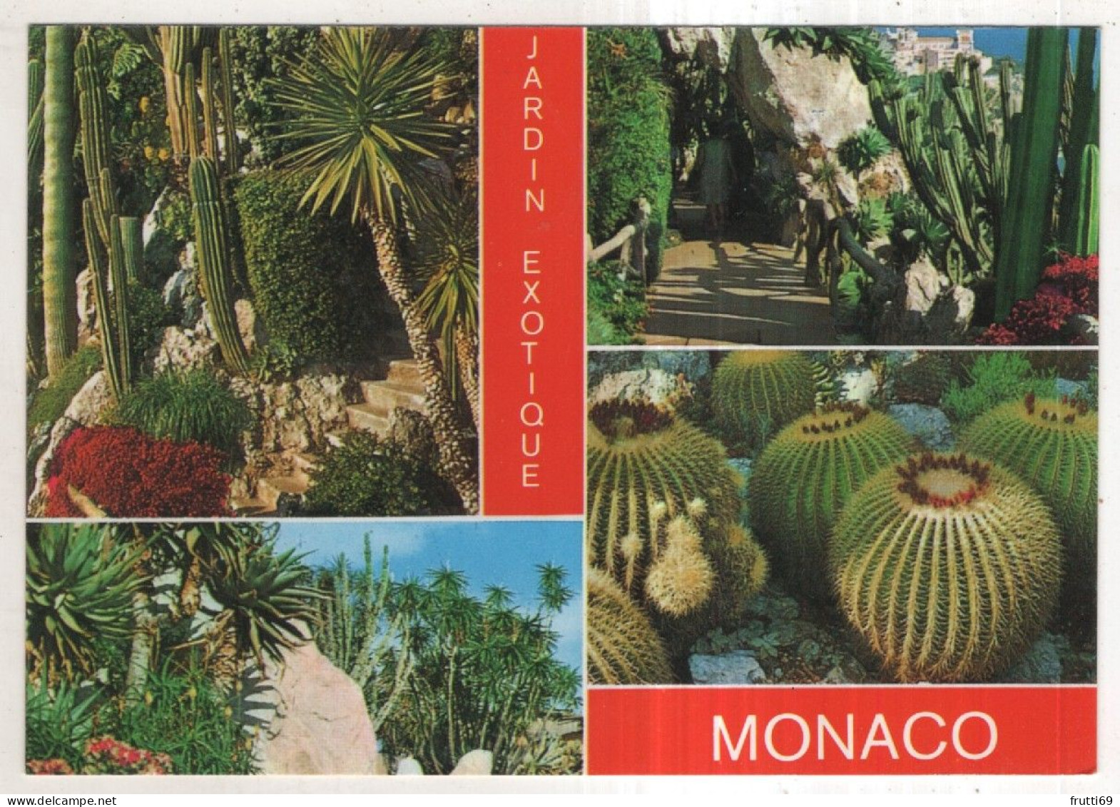 AK 250643 MONACO - Jardin Exotique