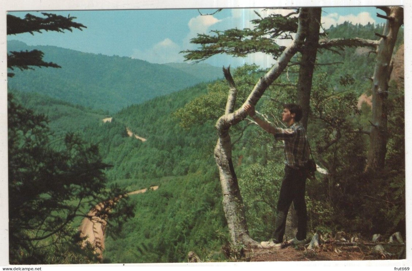 AK 253926 CANADA - Percé - La Gasperie