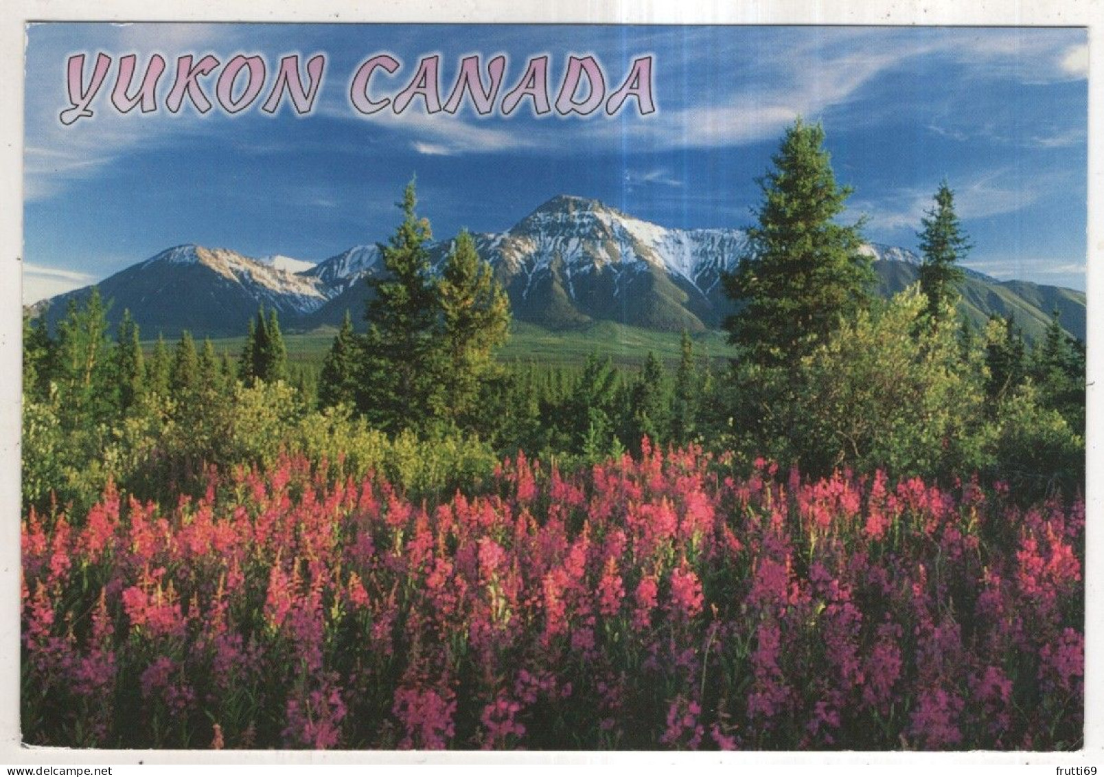 AK 254794 CANADA - Yukon - Fireweed