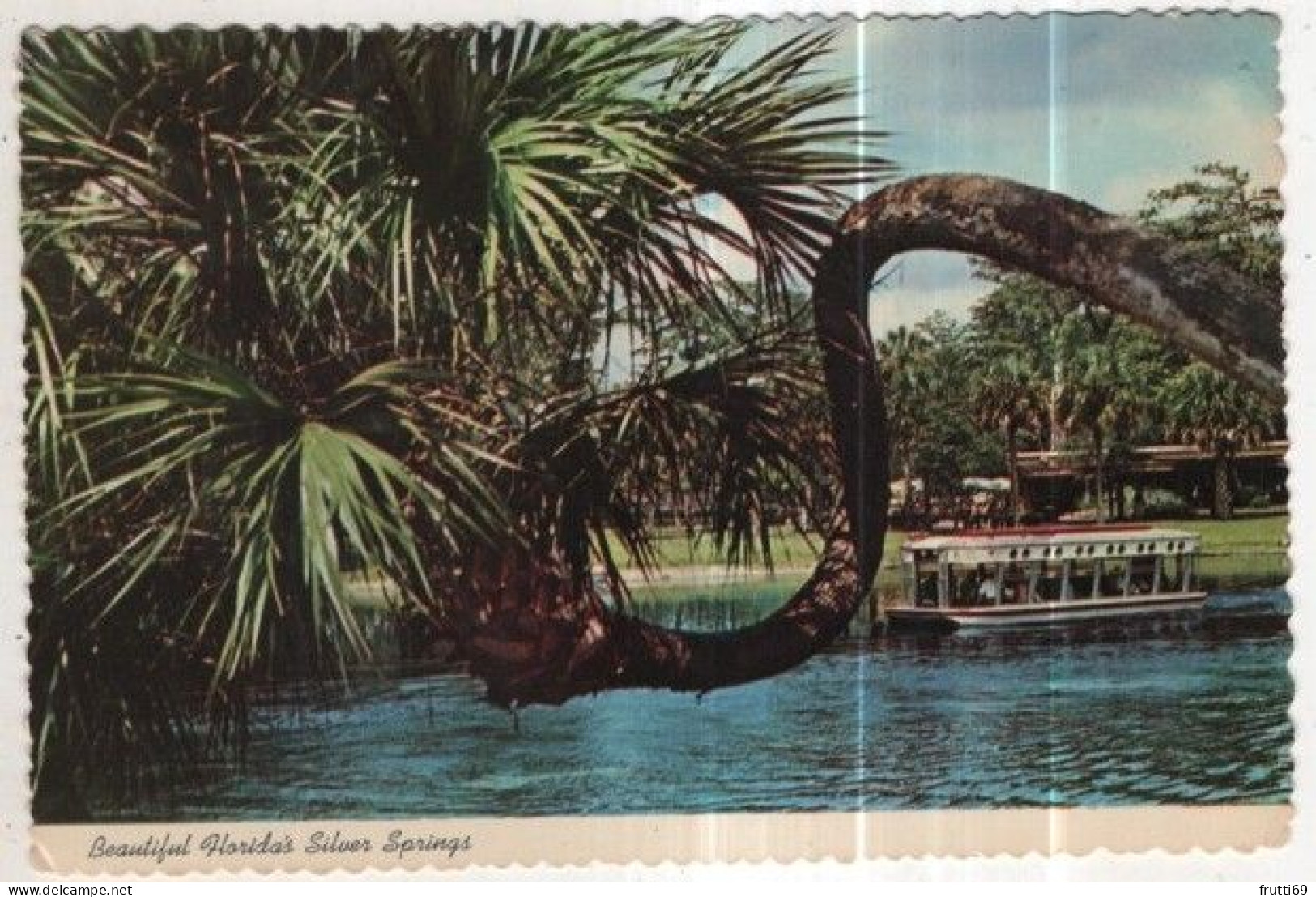 AK 258097 USA - Silver Springs - Glass Bottom Boats