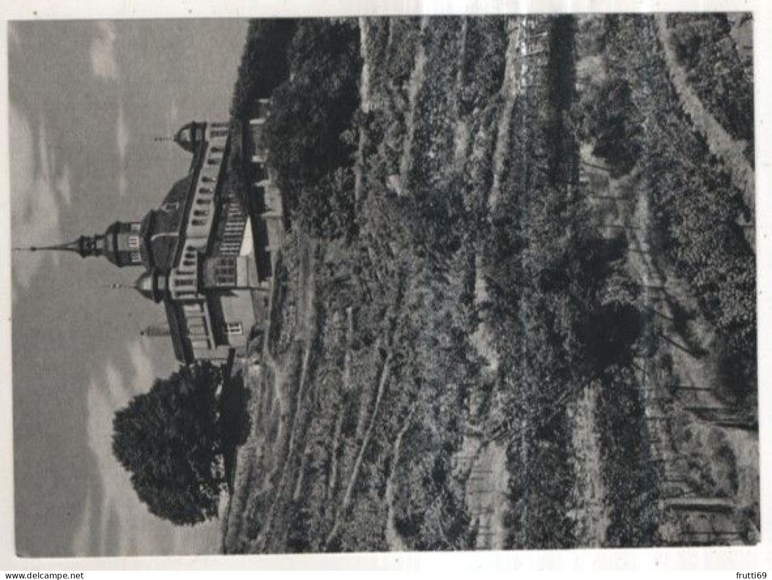 AK 261062 GERMANY -  Im Weinbaugebiet der Lößnitz bei Dresden