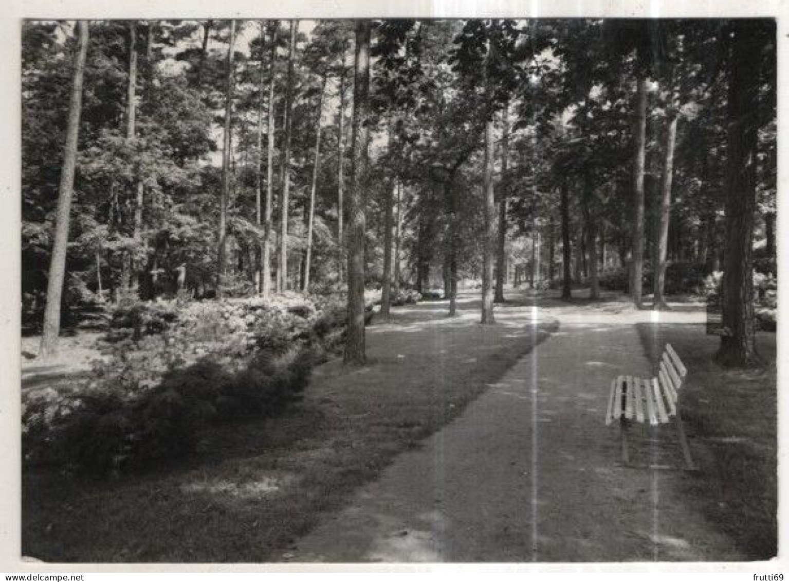 AK 261122 GERMANY - Graal-Müritz - Parkanlagen