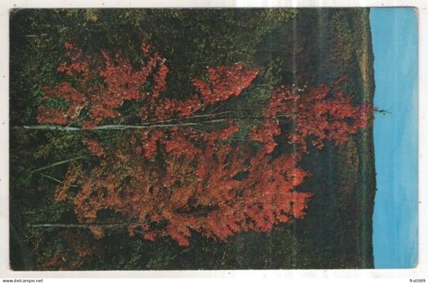 AK 261246 USA - Smoky Mountains National Park - a gorgeous autumn scene