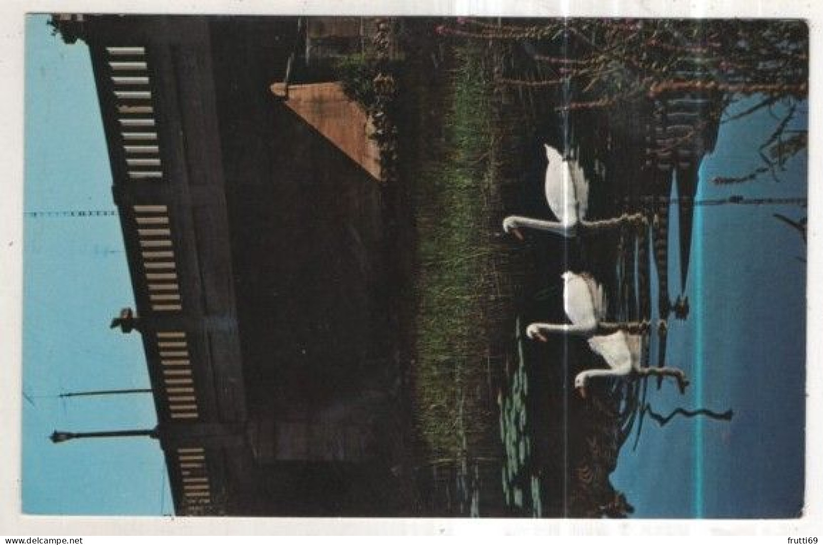 AK 263187 CANADA - Gananoque - swans in the river