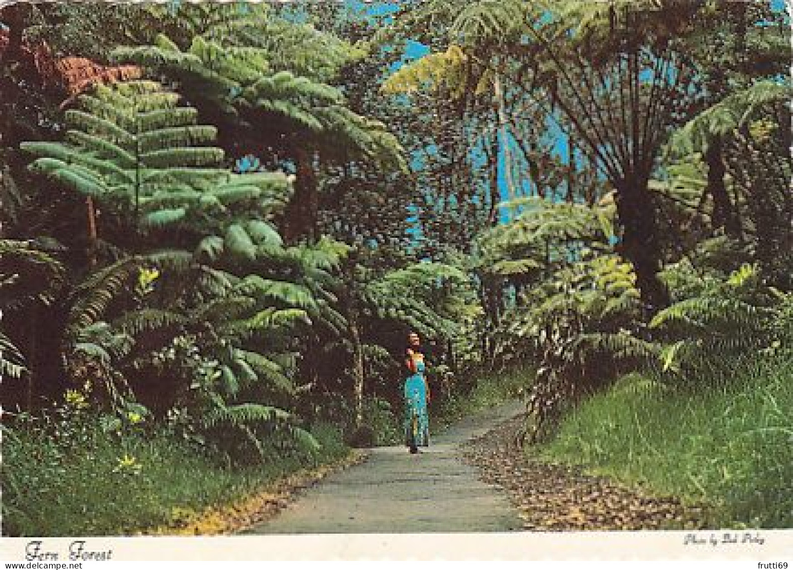 AK 271376 USA - Fern Forest