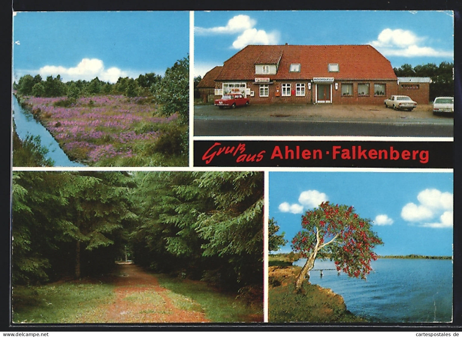 AK Ahlen-Falkenberg, Strassenpartie mit Geschäft Moorquelle, Waldblick, Partie am Wasser
