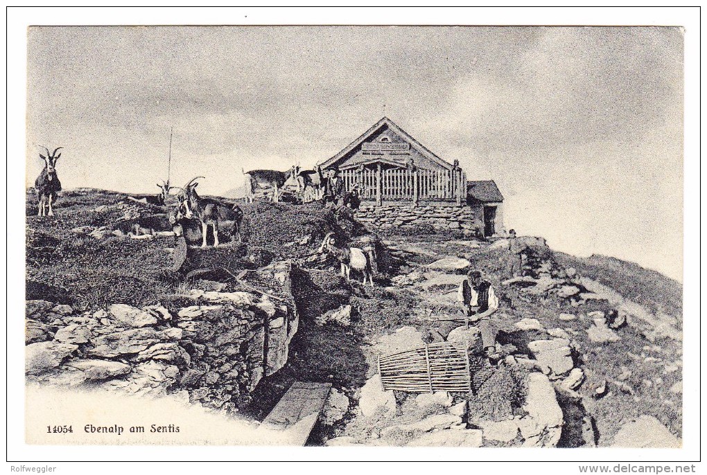 AK AI EBENALP am Säntis 21.8.1905 Appenzell Foto Wehrli
