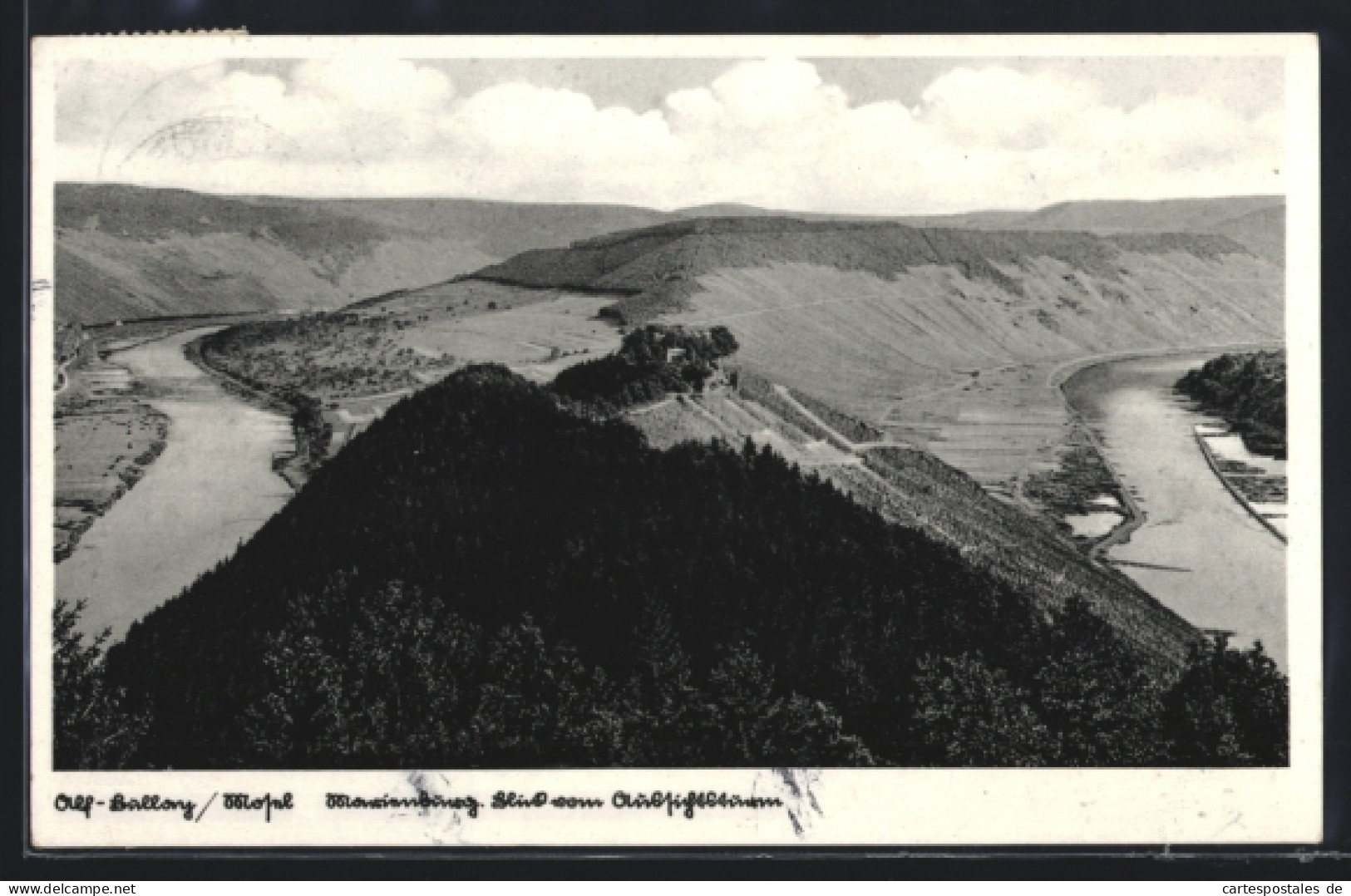 AK Alf /Mosel, Alf-Bullay, Marienburg, Blick vom Aussichtsturm