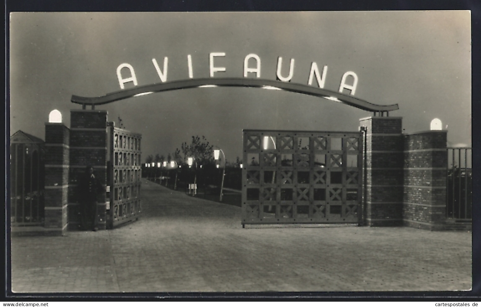 AK Alphen a. d. Rijn, Avifauna