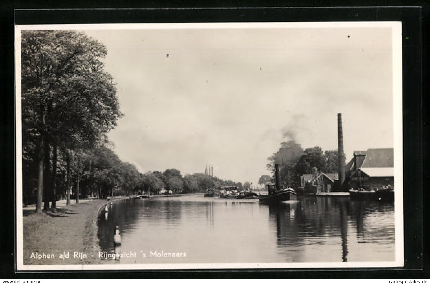 AK Alphen a. d. Rijn, Rijngezicht s` Molenaars