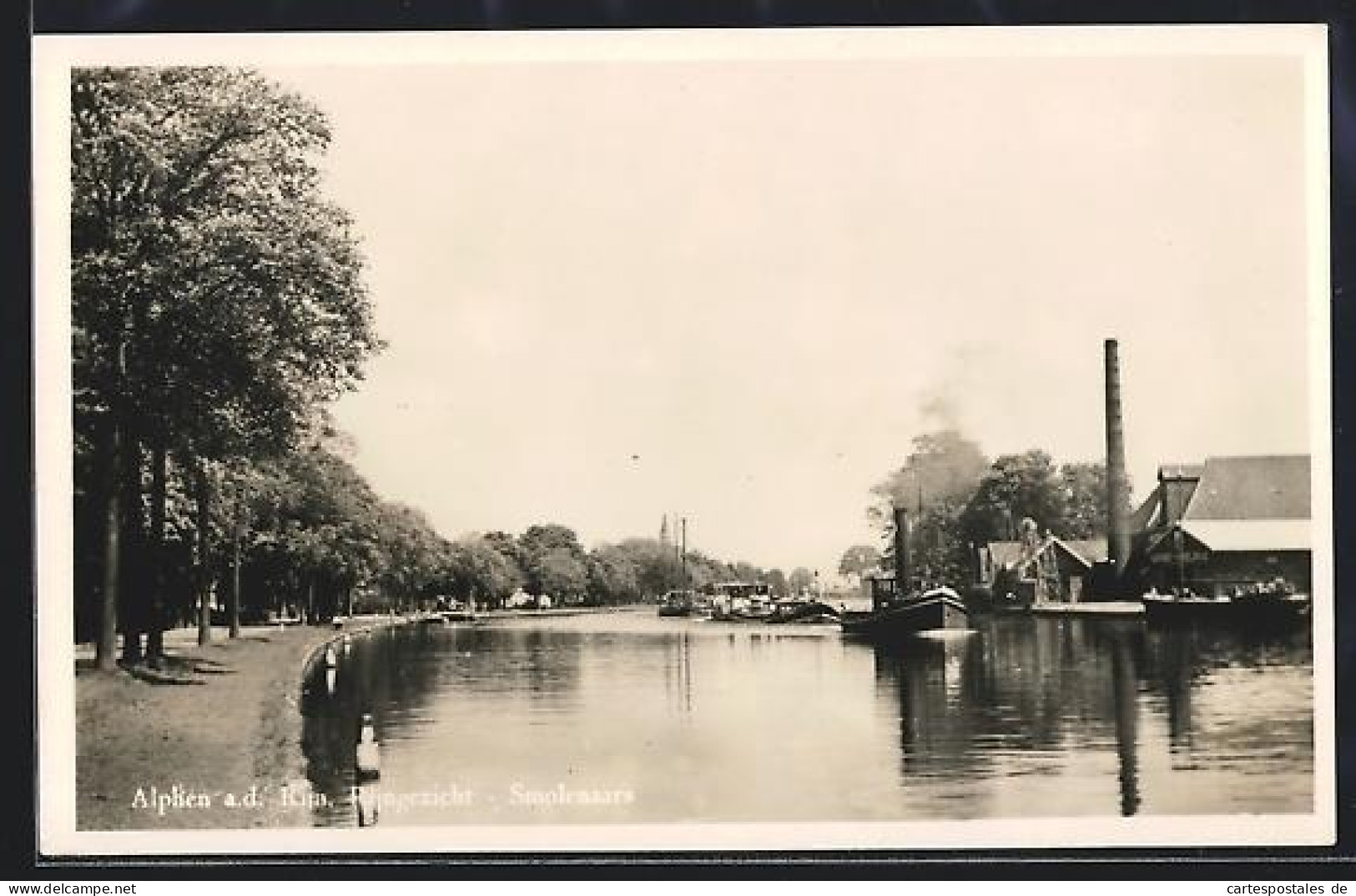 AK Alphen a. d. Rijn, Rijngezicht, Smolenaars