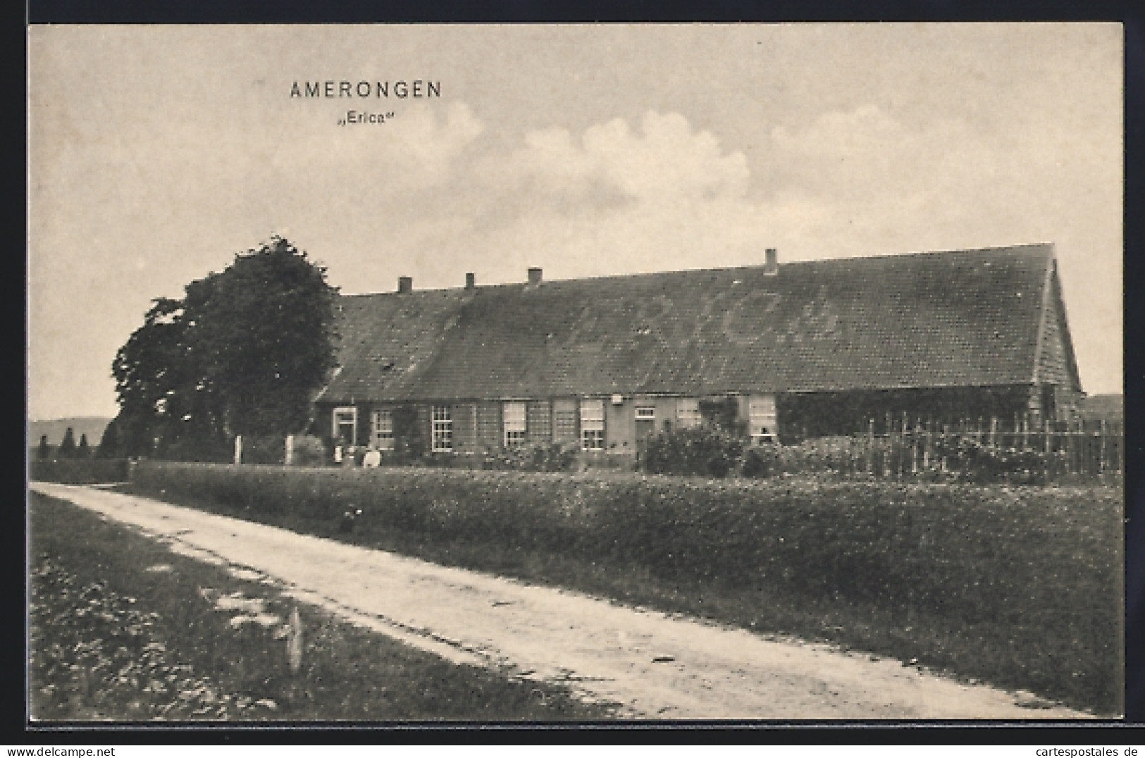 AK Amerongen, Erica