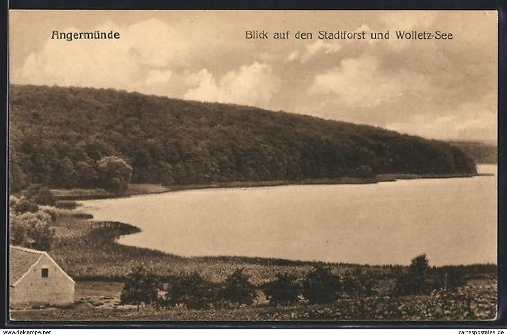 AK Angermünde, Blick auf den Stadtforst und Wolletz-See