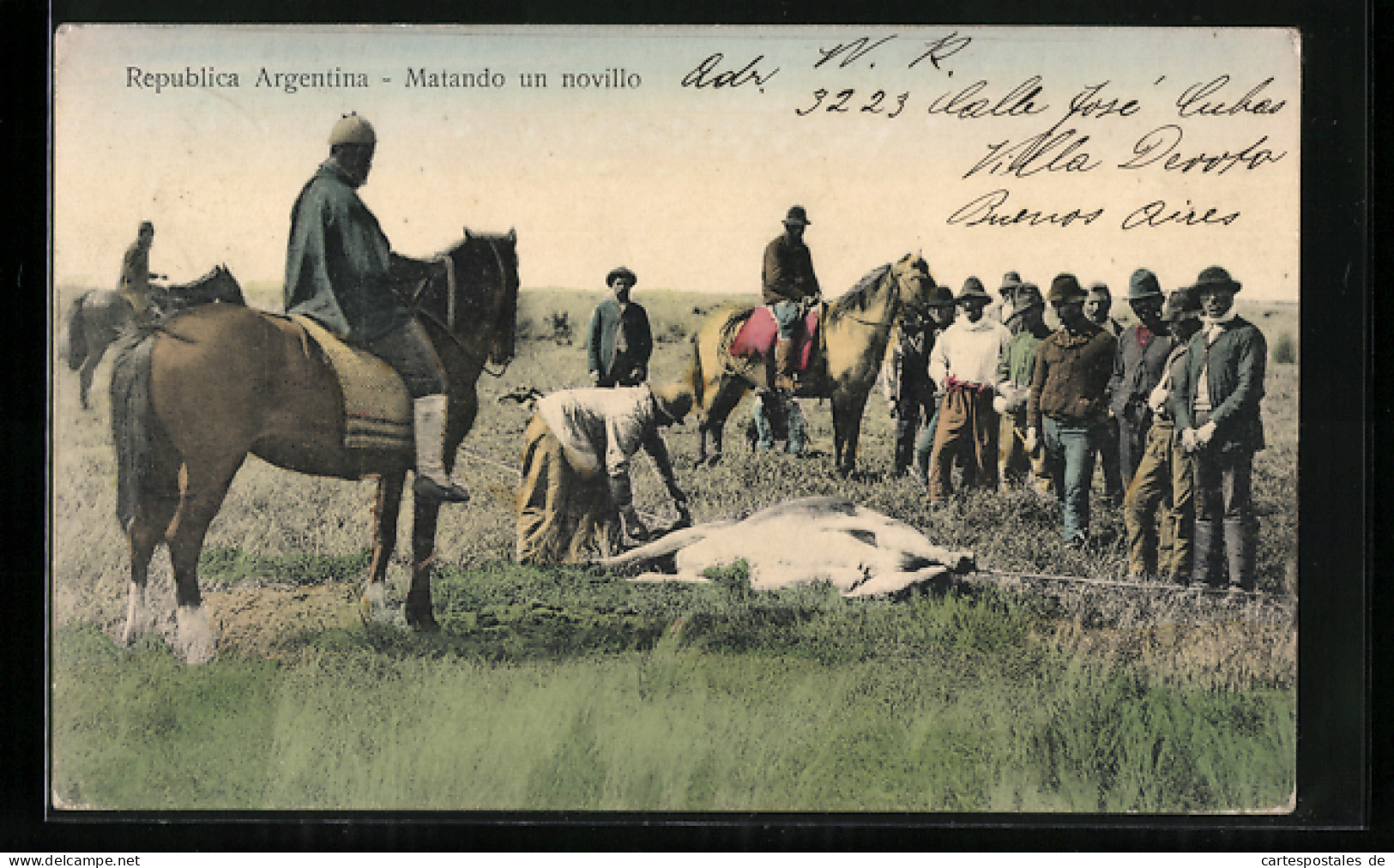 AK Argentinien, Matando un novillo