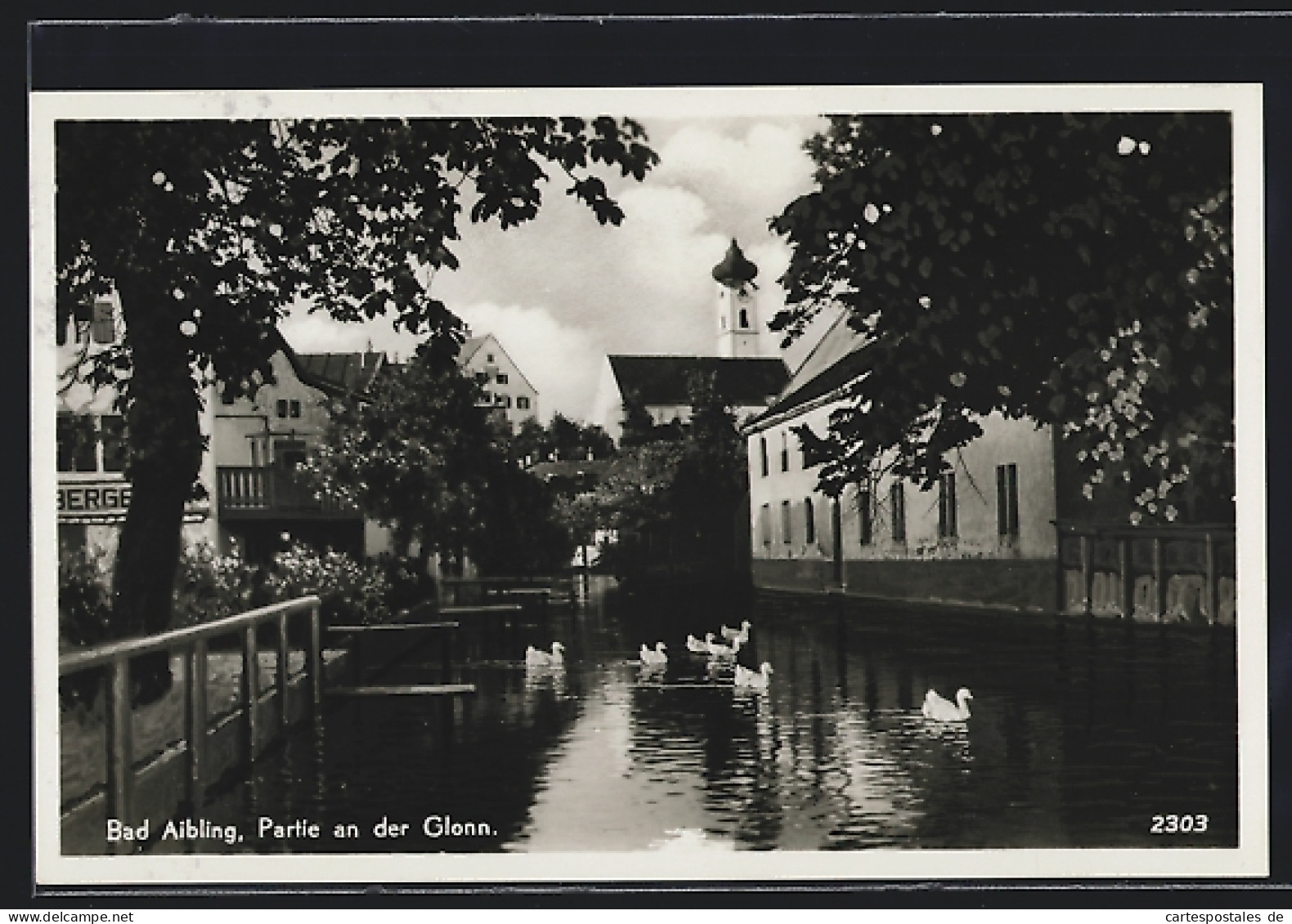 AK Bad Aibling, Schwäne in der Glonn