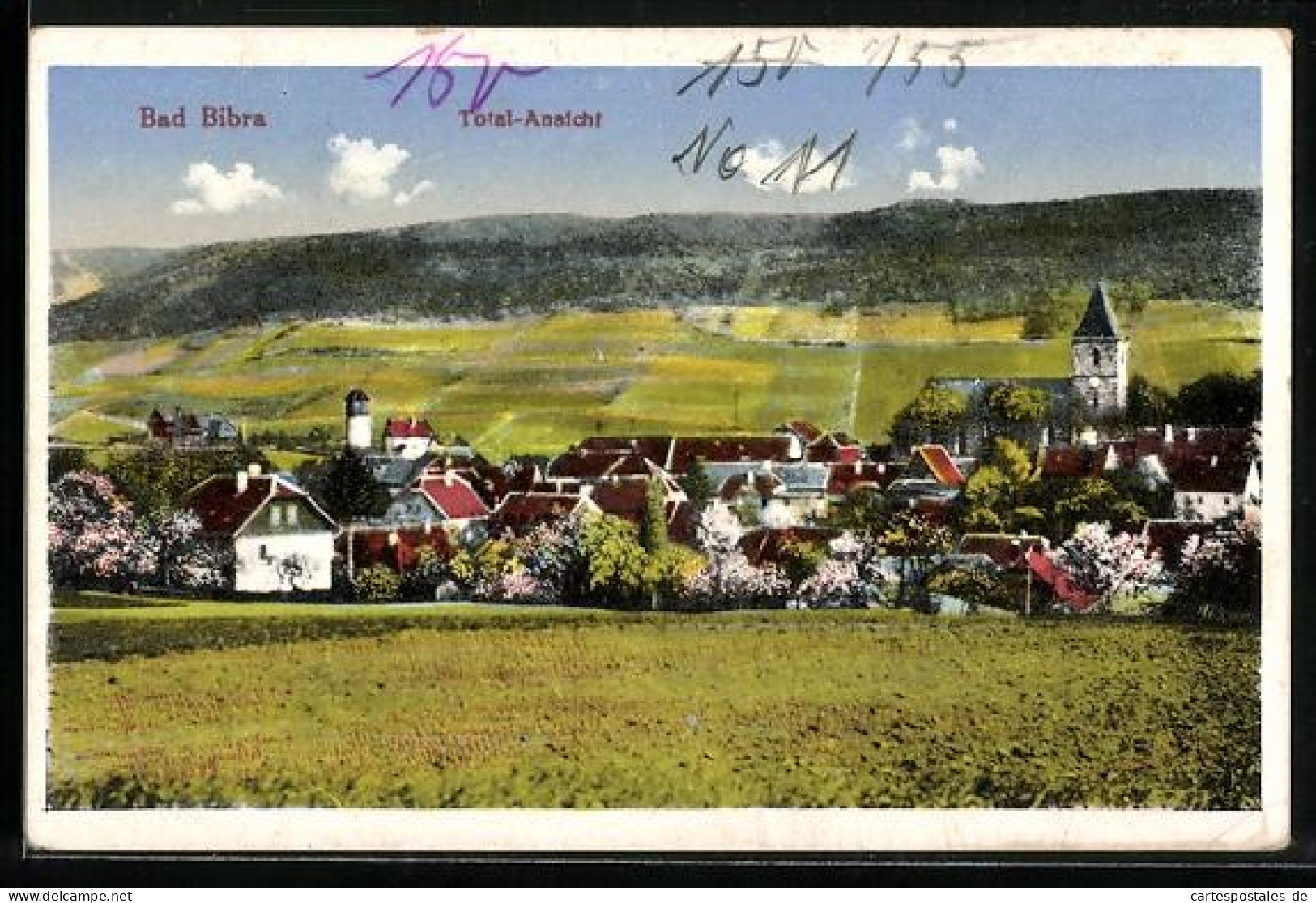 AK Bad Bibra, Totalansicht mit Kirche umd umliegenden Feldern