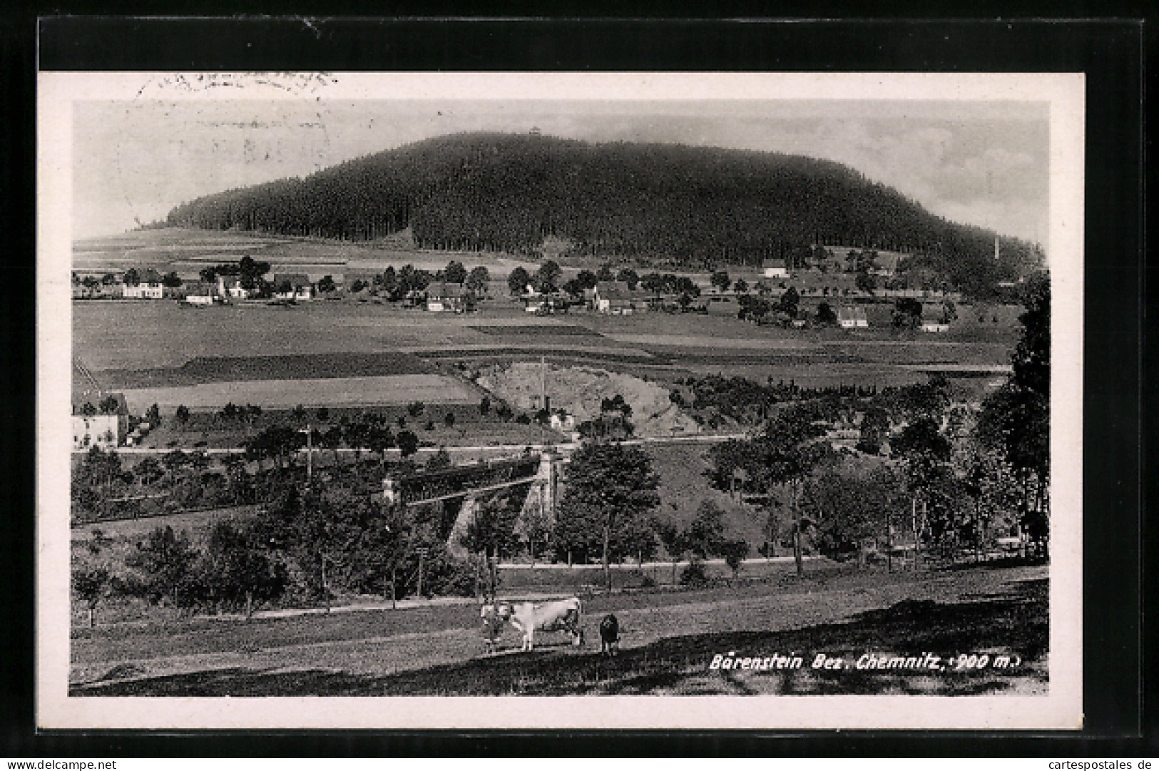 AK Bärenstein, Panorama
