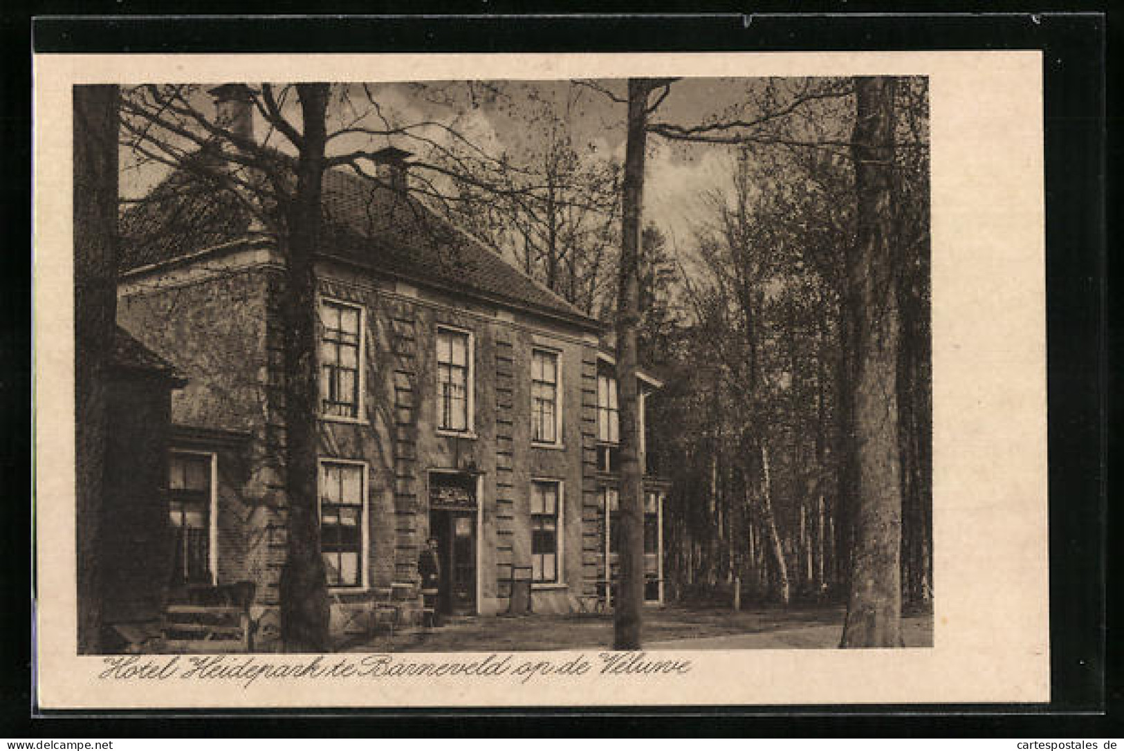 AK Barneveld, Hotel Heidepark