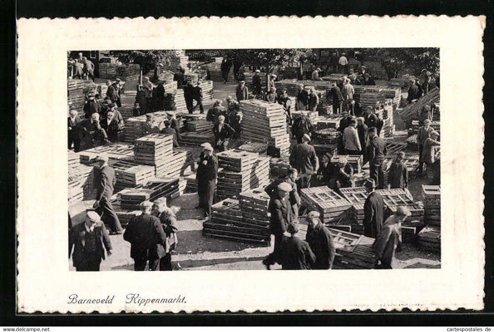 AK Barneveld, Kippenmarkt