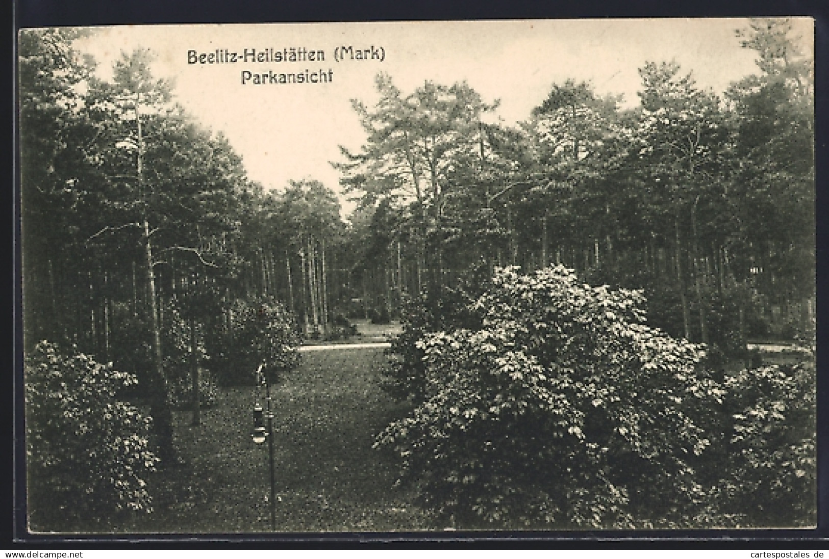 AK Beelitz-Heilstätten /Mark, Parkansicht