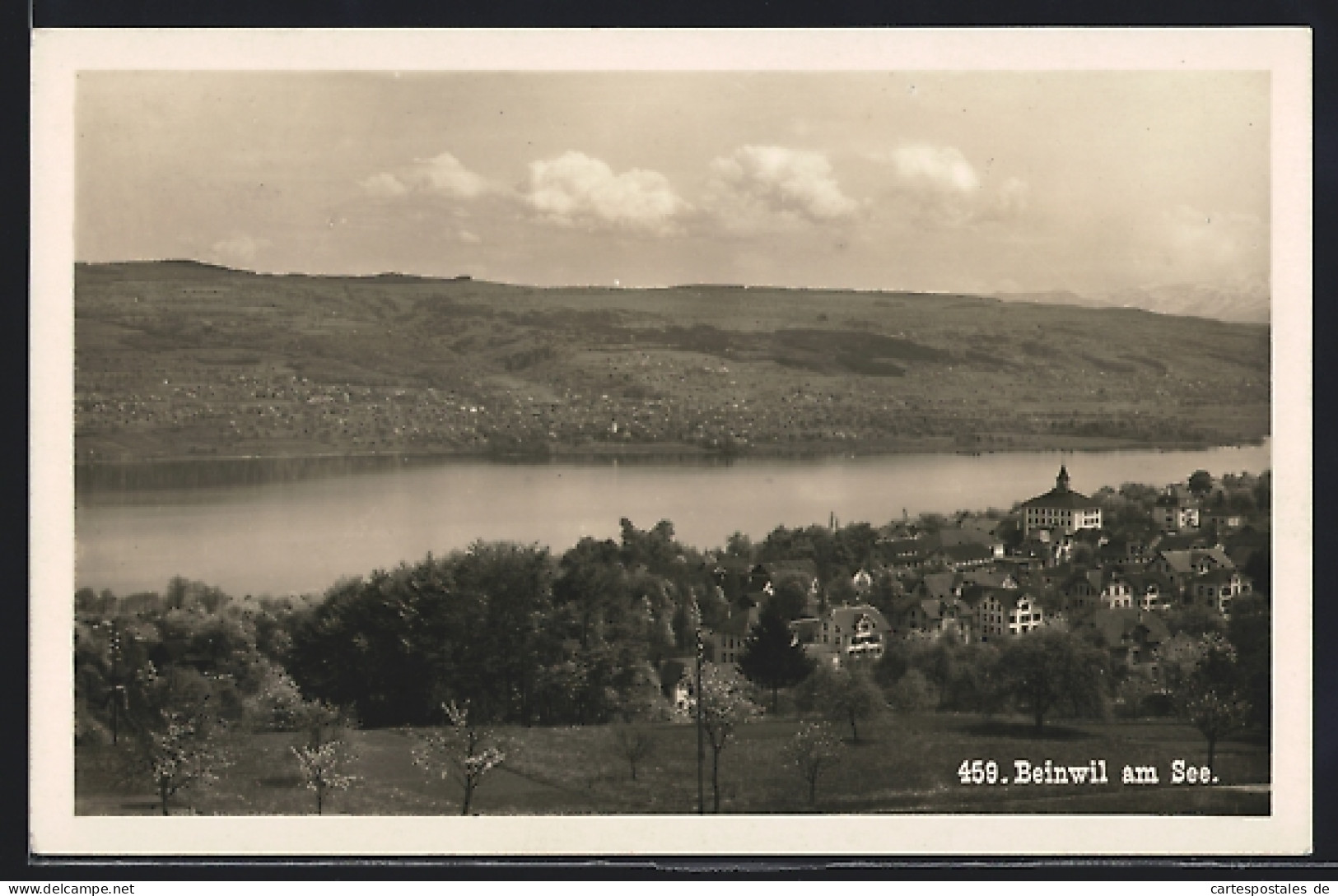 AK Beinwil am See, Ortsansicht mit Wasser