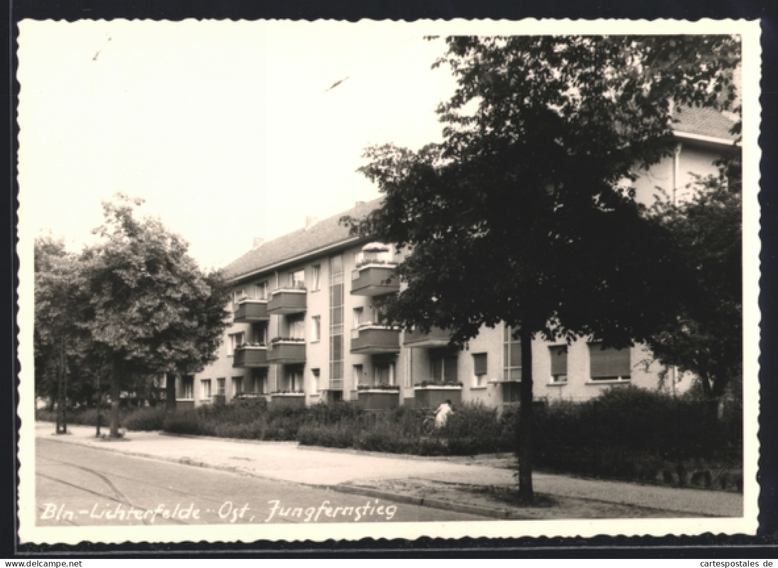 AK Berlin-Lichterfelde, Jungfernstieg