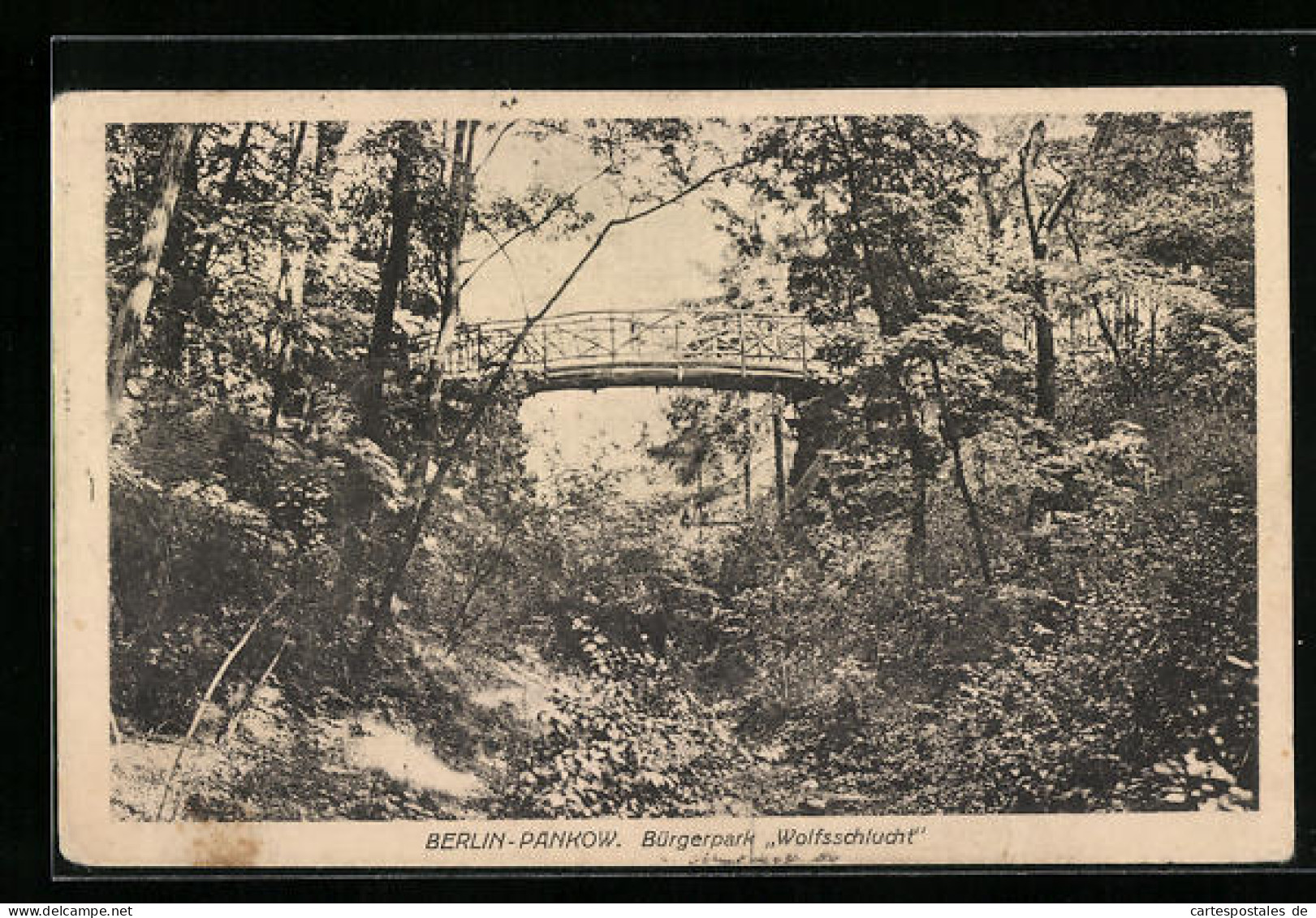 AK Berlin-Pankow, Bürgerpark Wolfsschlucht