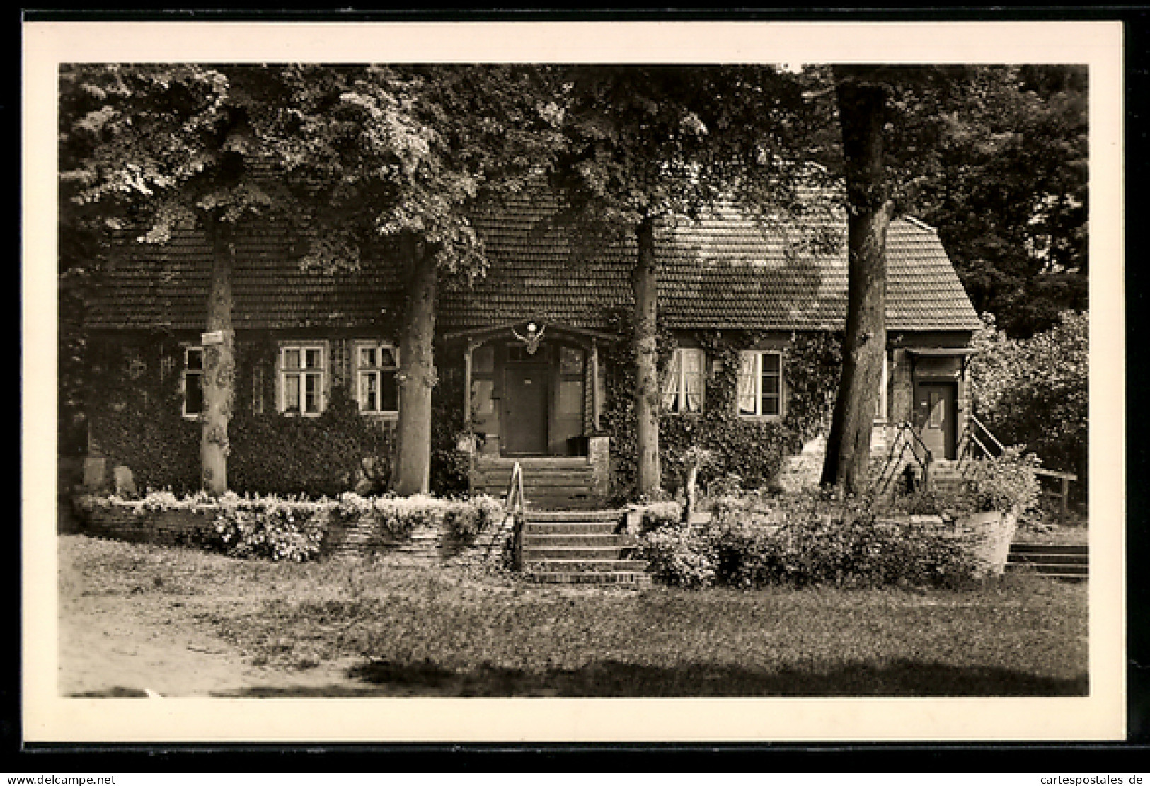 AK Berlin-Tegel, Schloss Tegel, Gärtnerhaus