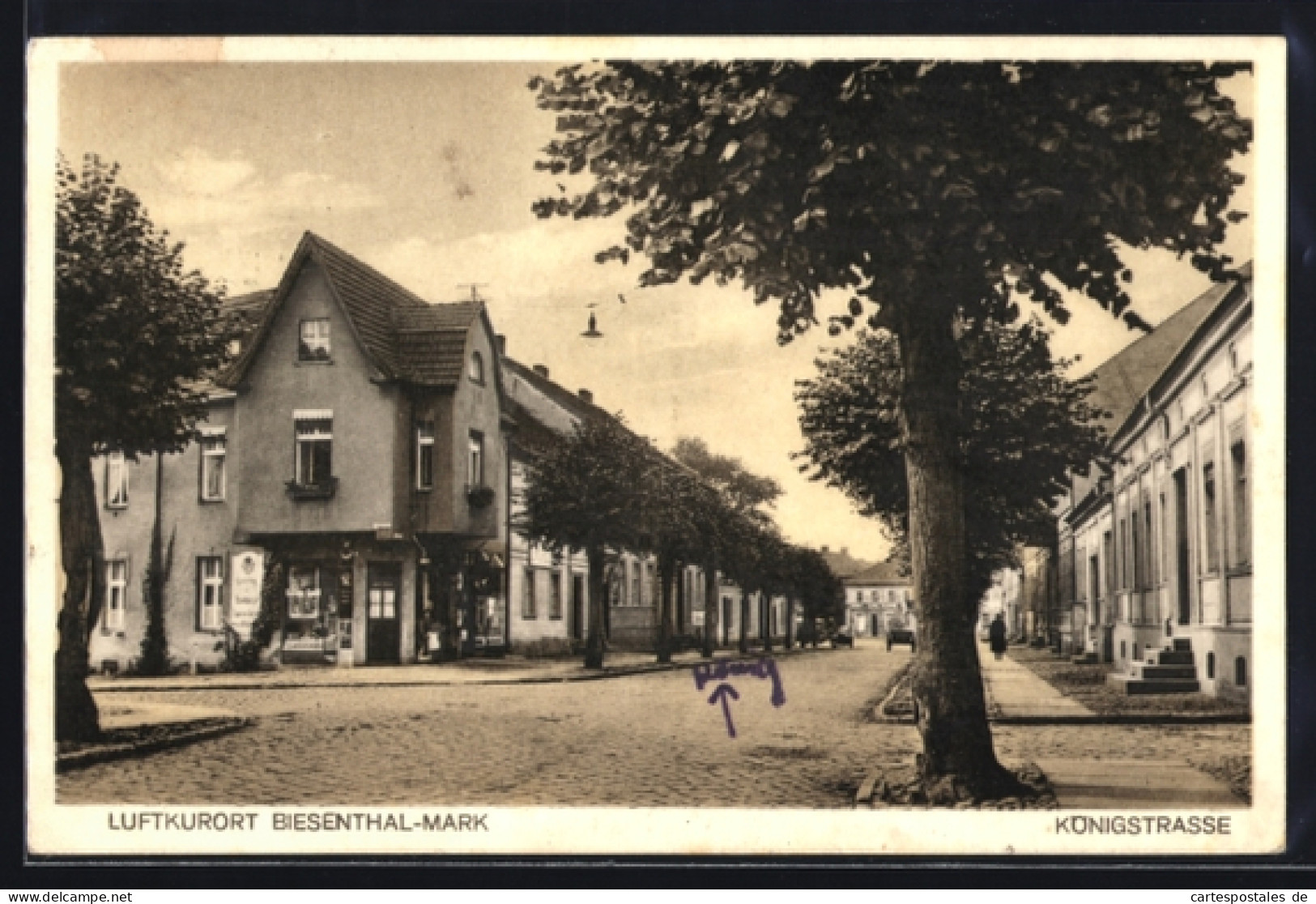 AK Biesenthal /Mark, Blick in die Königstrasse