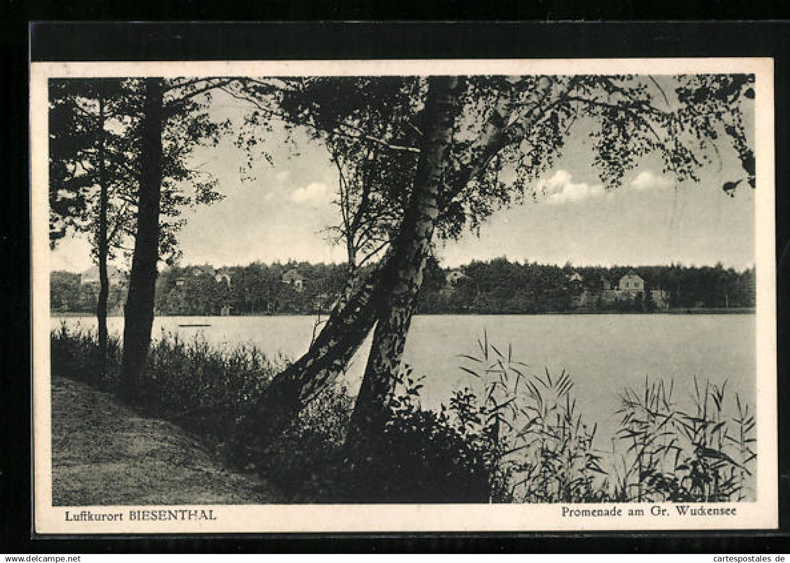 AK Biesenthal, Promenade am Gr. Wuckensee